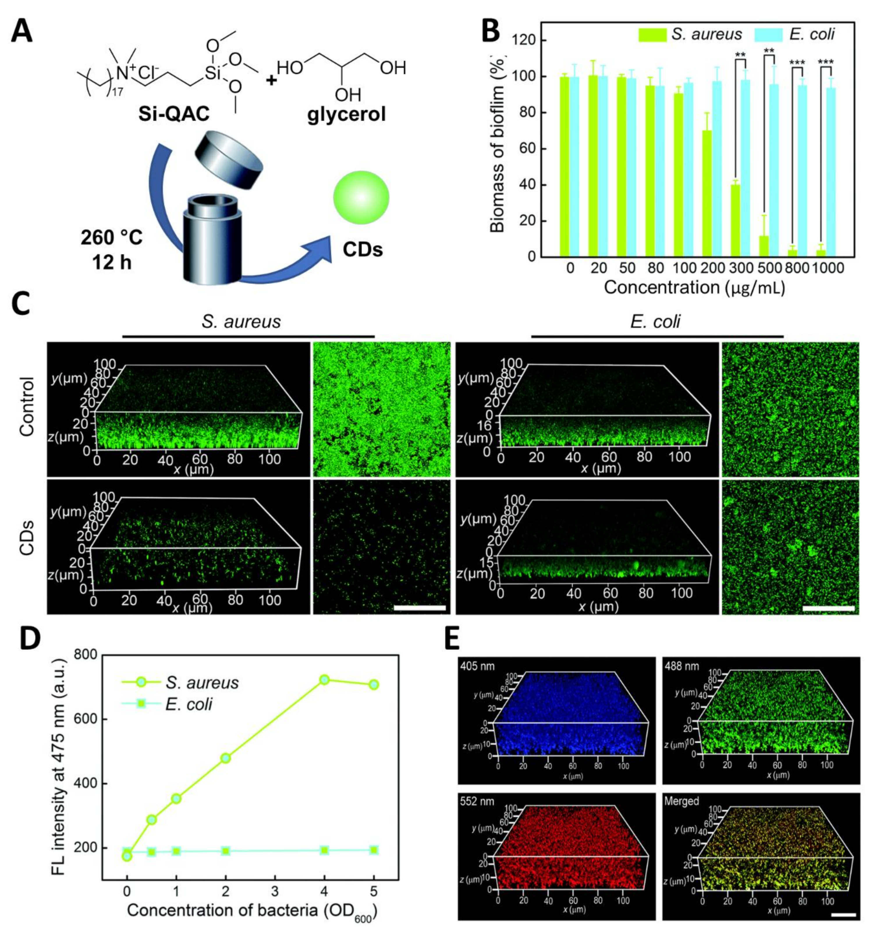 Nanomaterials 11 01877 g005 550