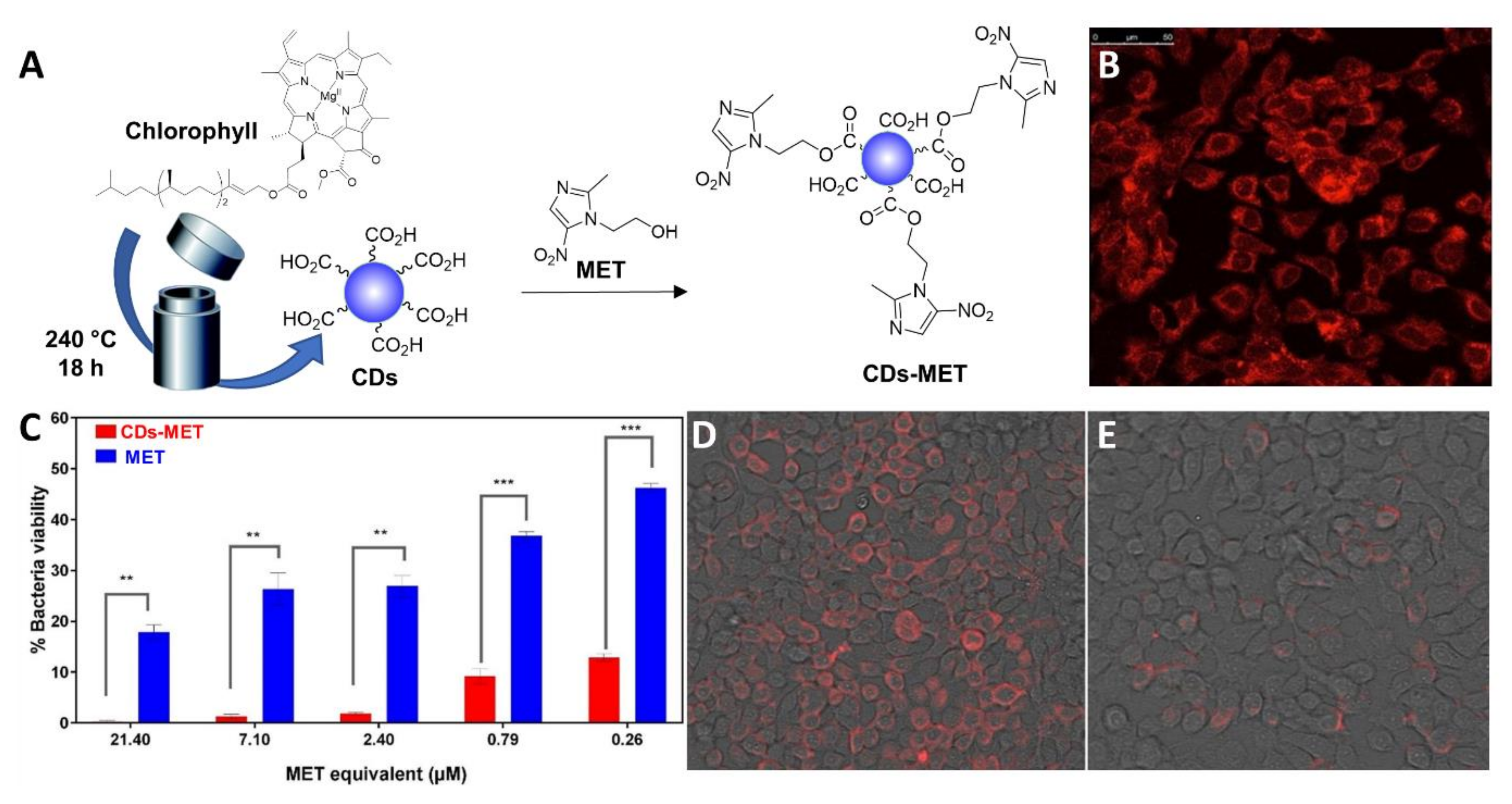 Nanomaterials 11 01877 g008 550