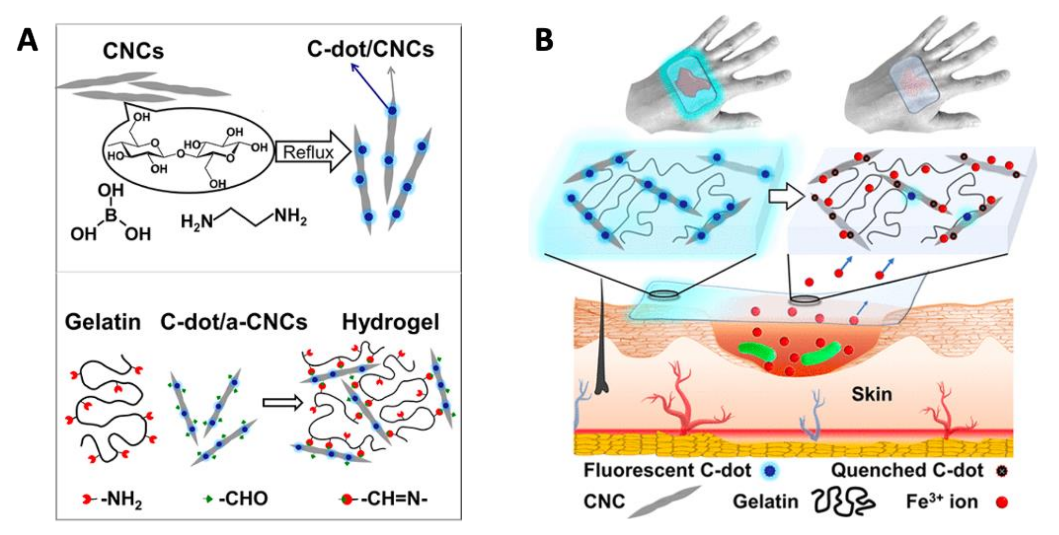 Nanomaterials 11 01877 g009 550