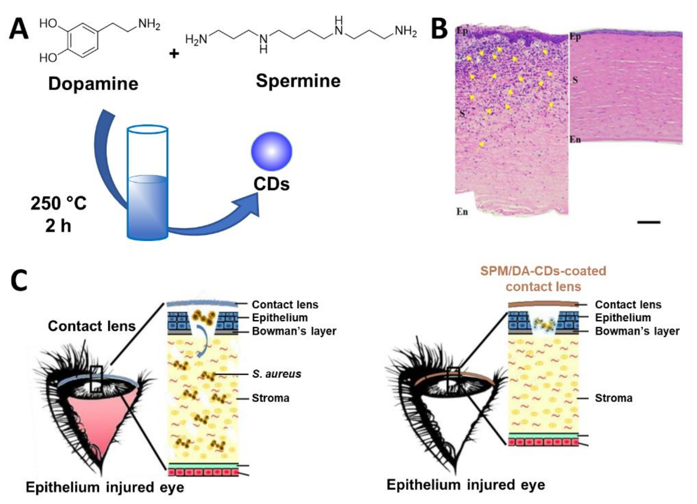 Nanomaterials 11 01877 g012 550