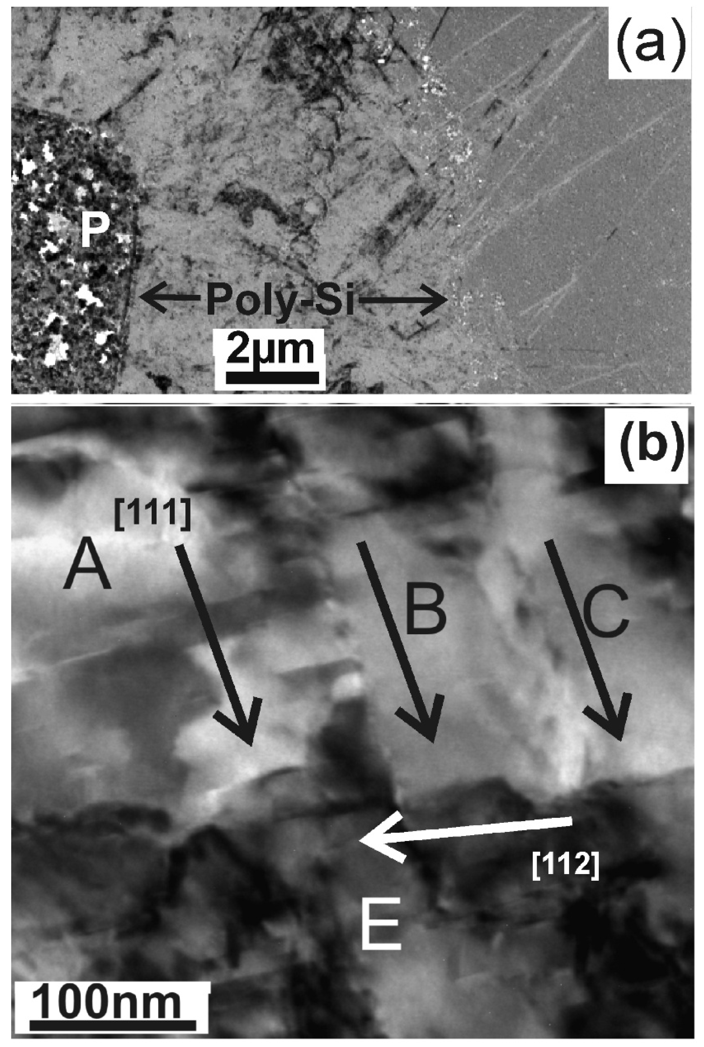 Nanomaterials 11 01878 g003 550