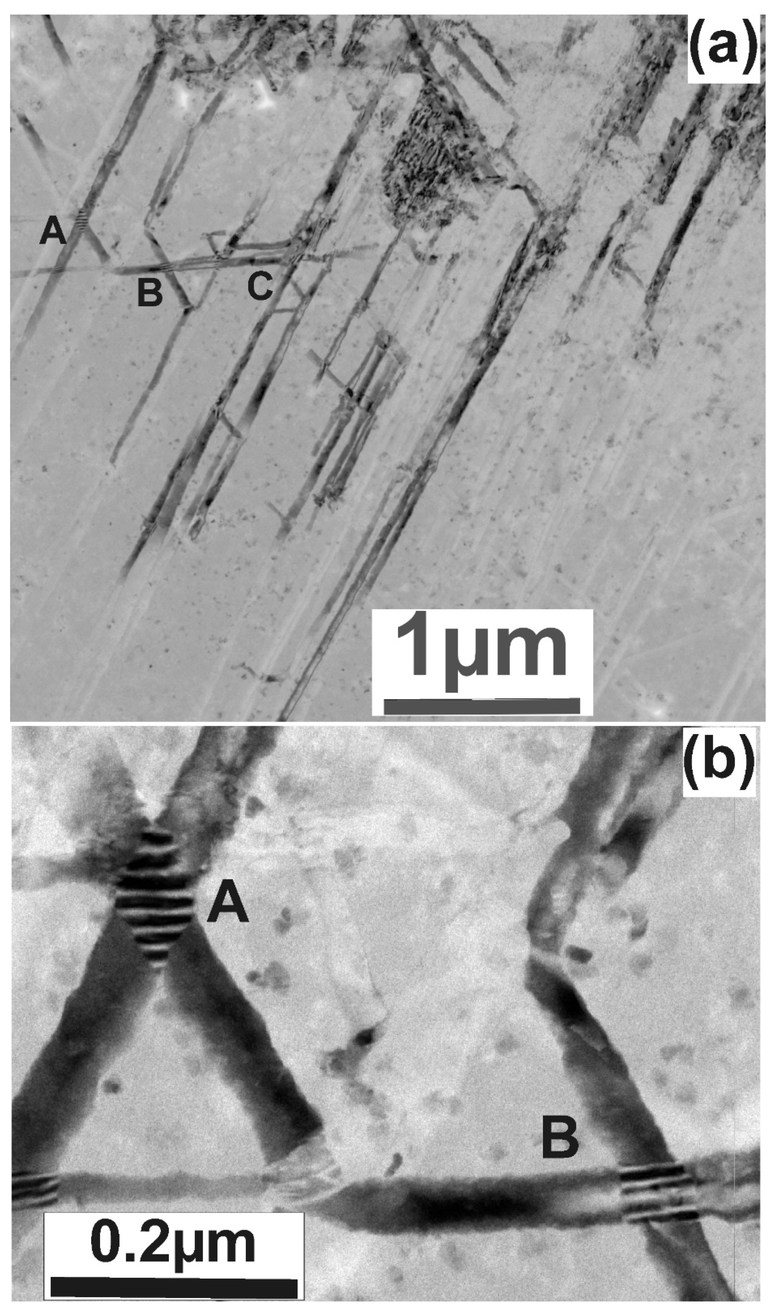 Nanomaterials 11 01878 g004 550