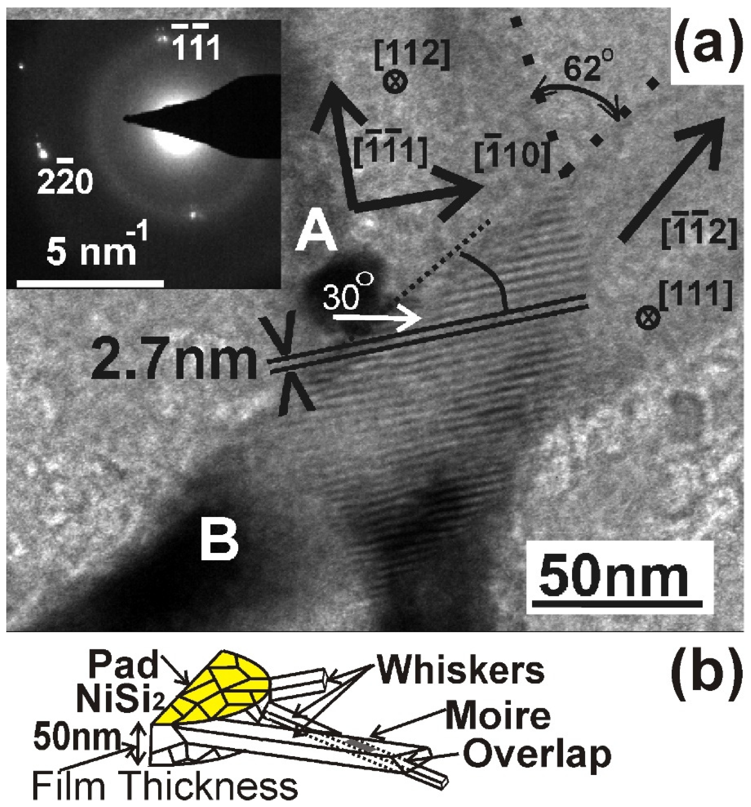 Nanomaterials 11 01878 g005 550