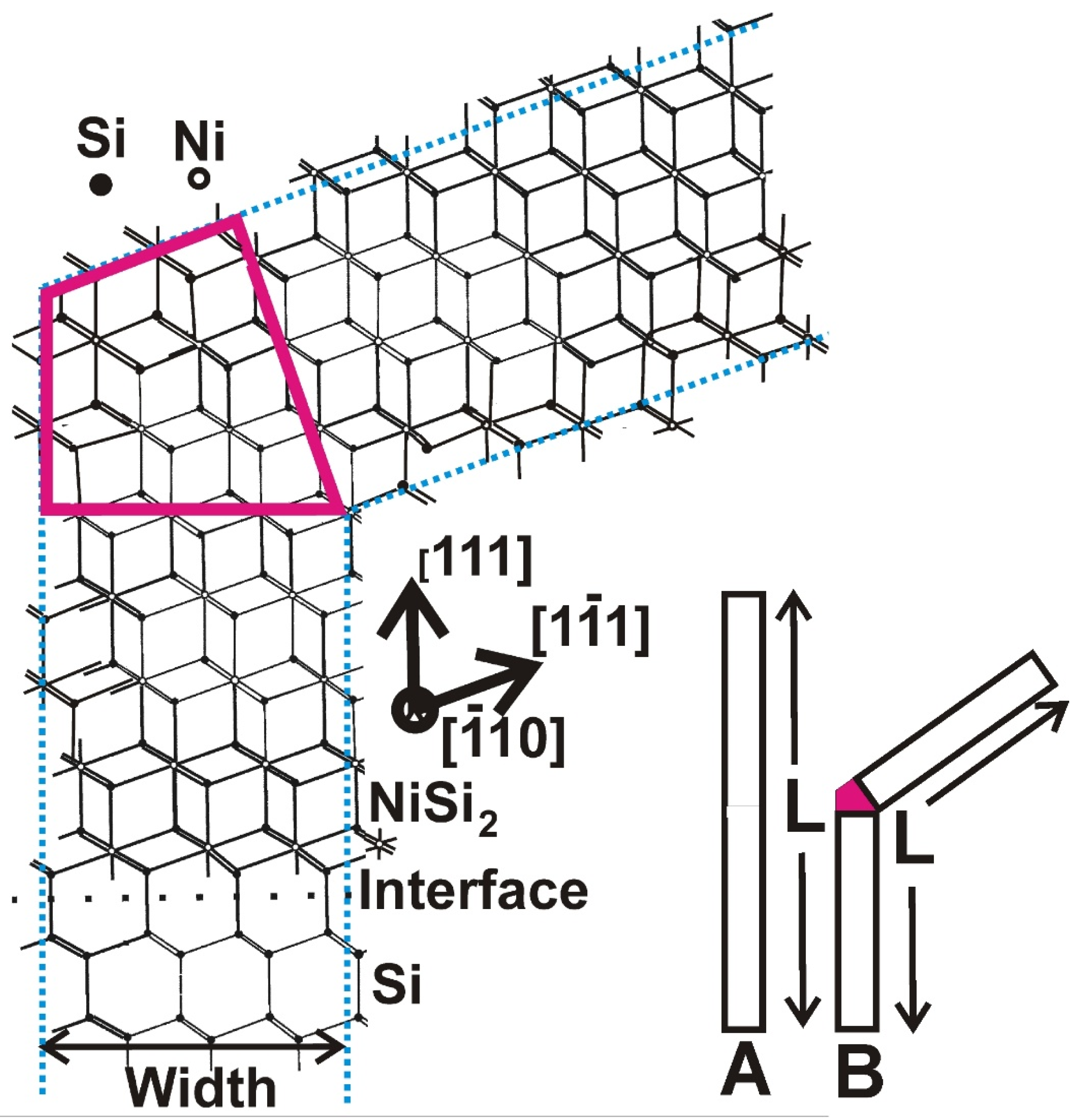 Nanomaterials 11 01878 g009 550