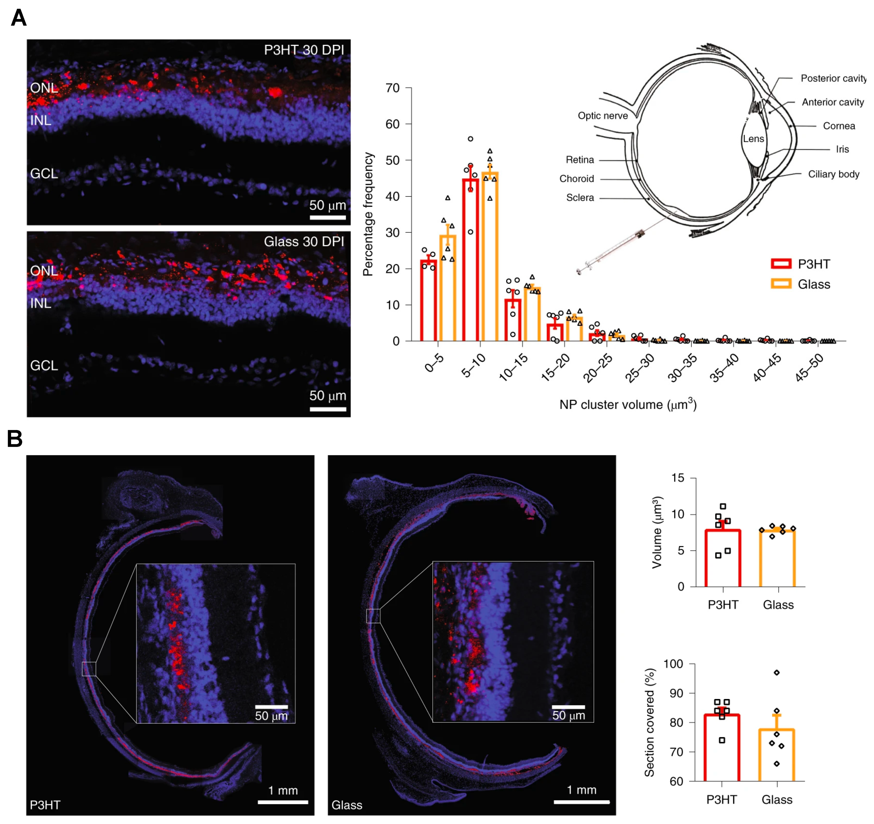Nanomaterials 11 01880 g005