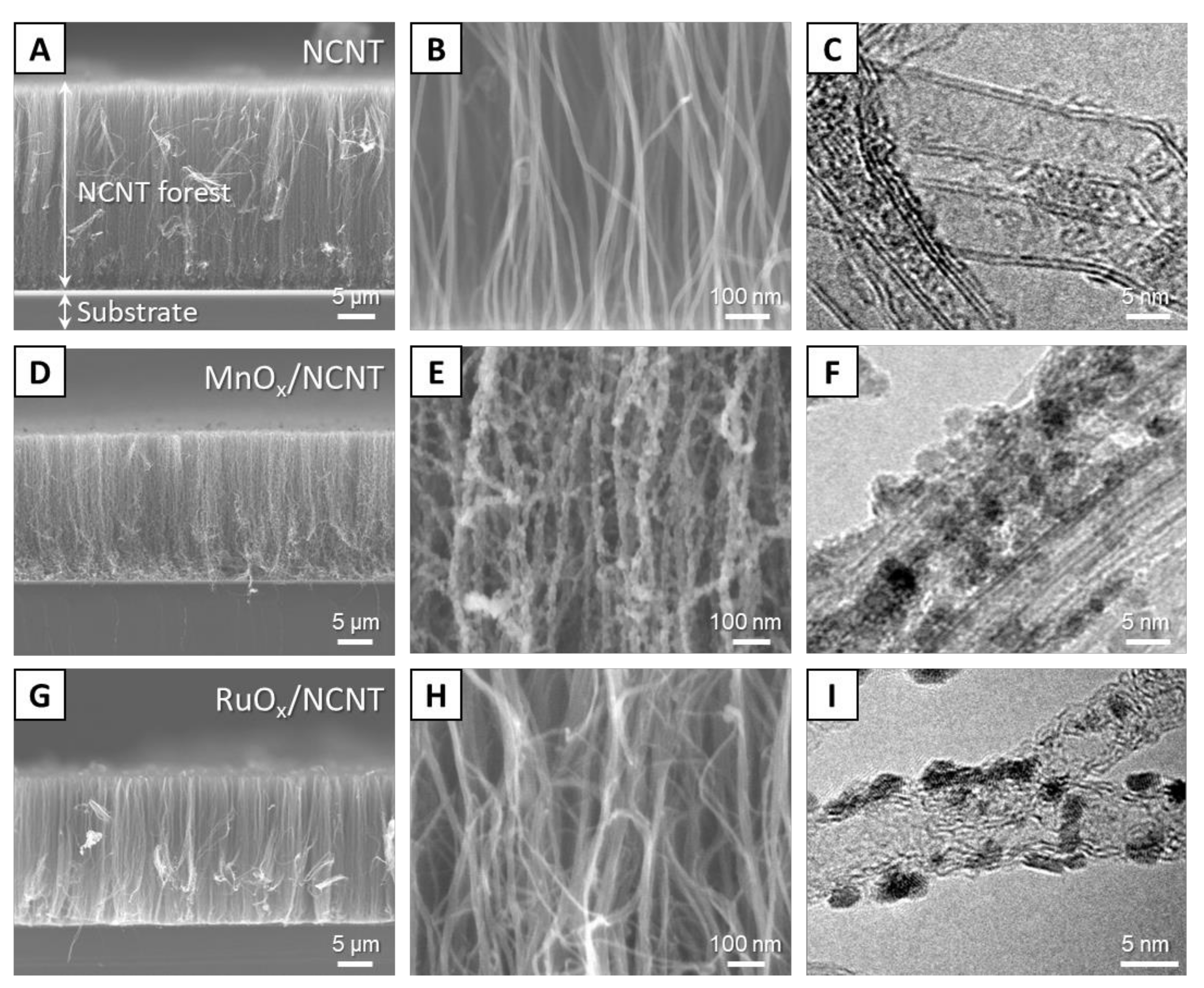 Nanomaterials 11 01882 g002
