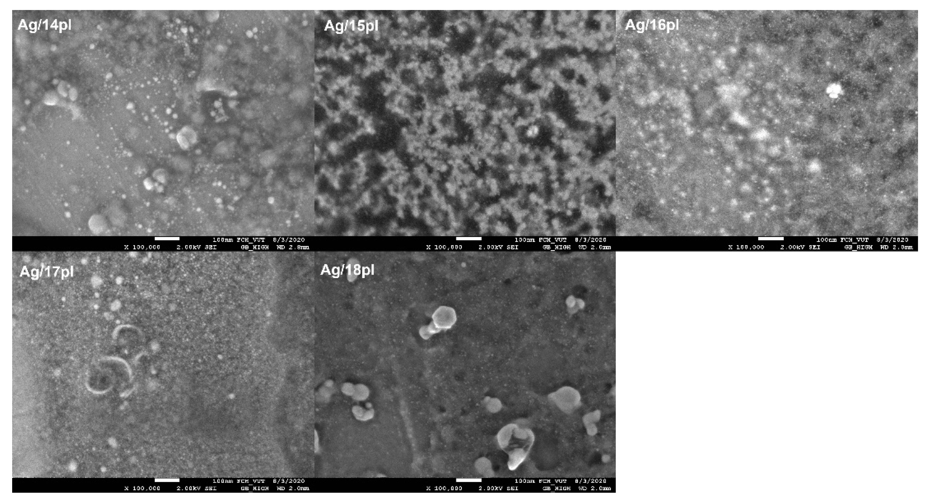 Nanomaterials 11 01883 g005