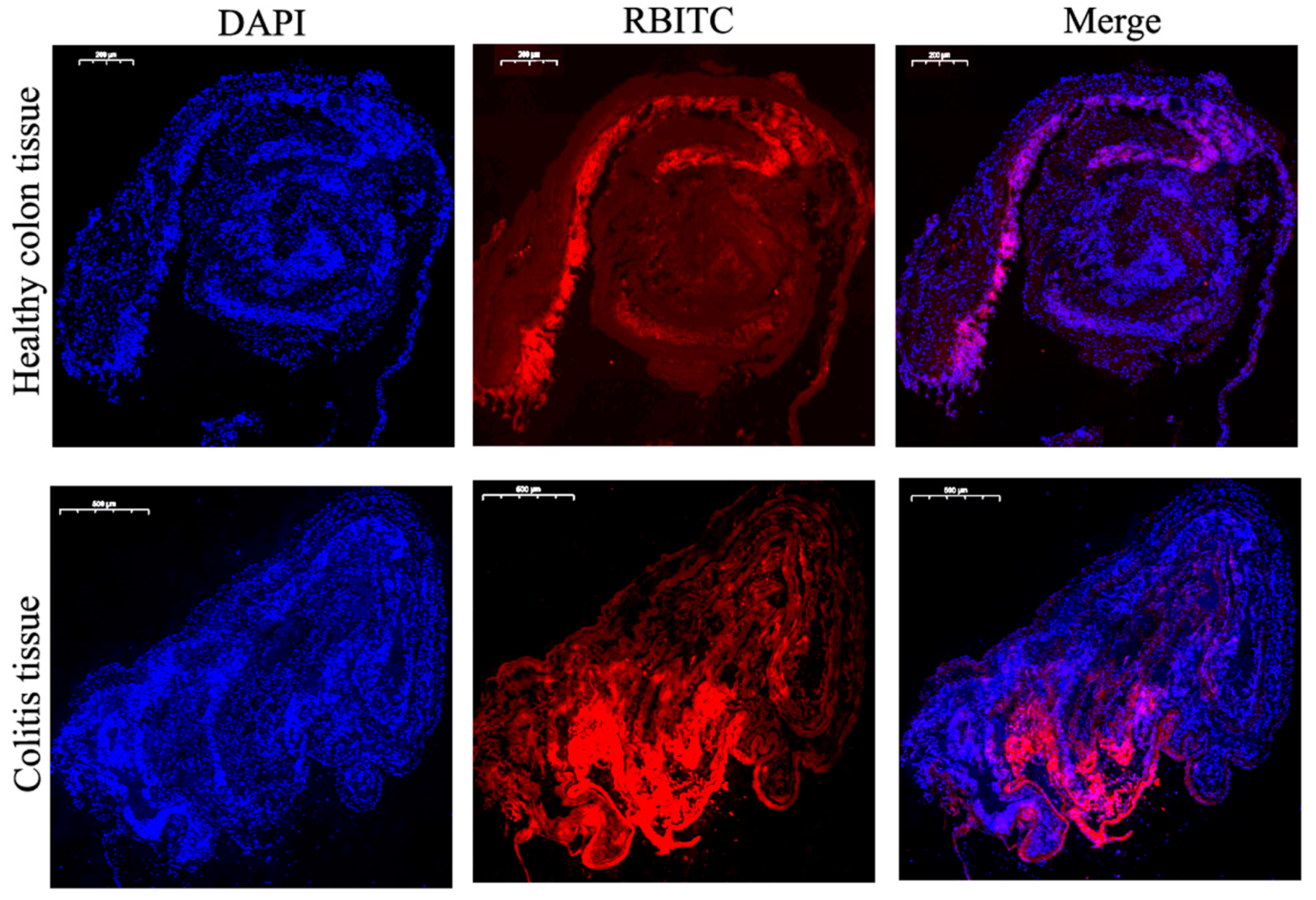Nanomaterials 11 01884 g008