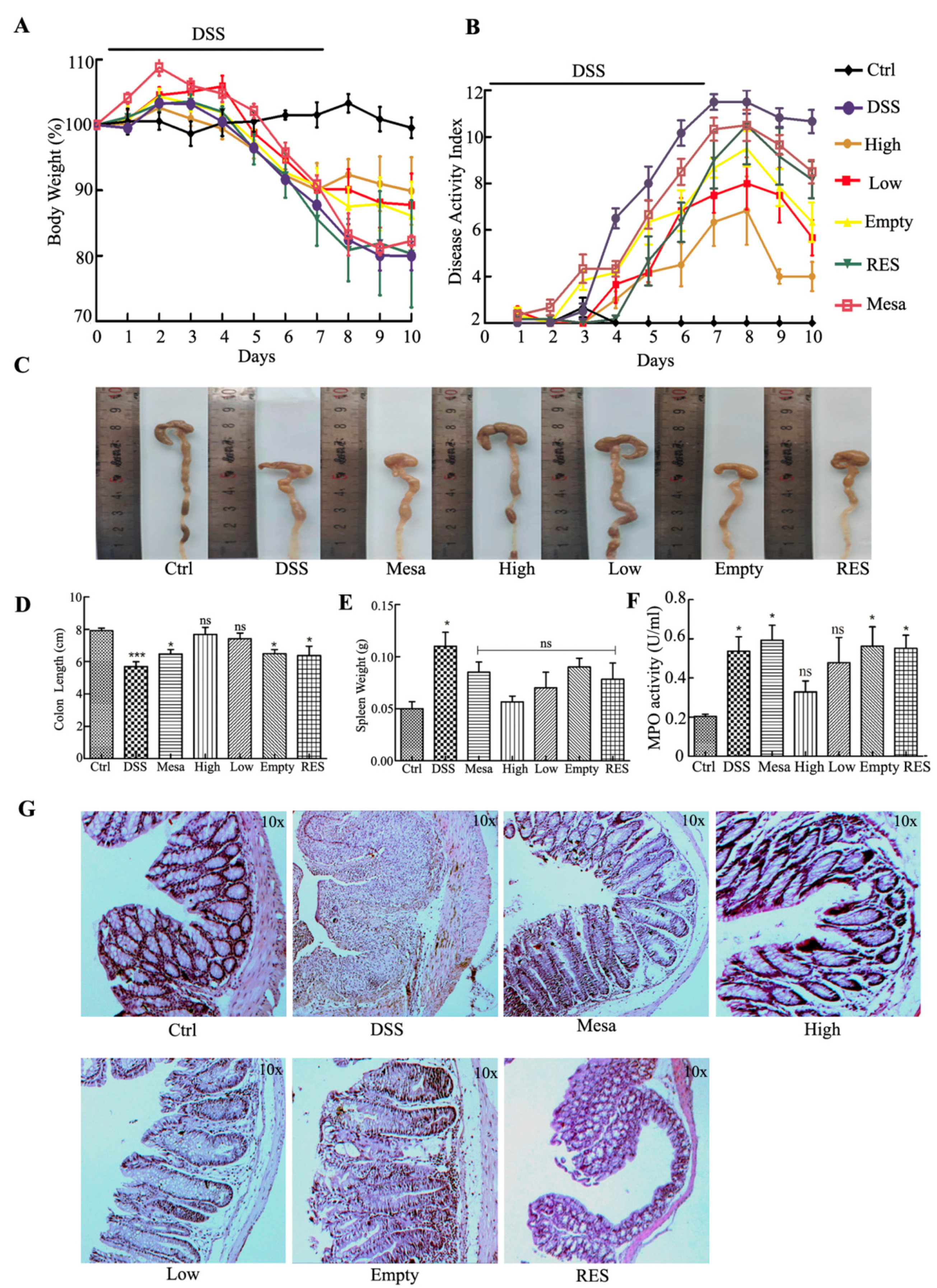 Nanomaterials 11 01884 g009