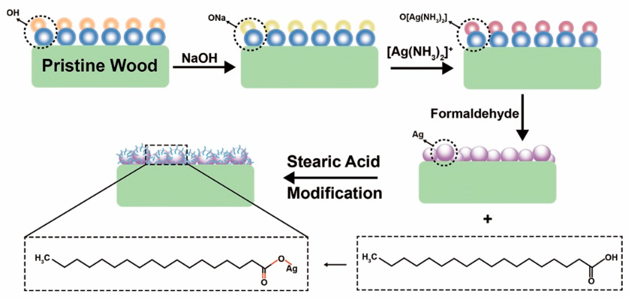 Nanomaterials 11 01885 g003
