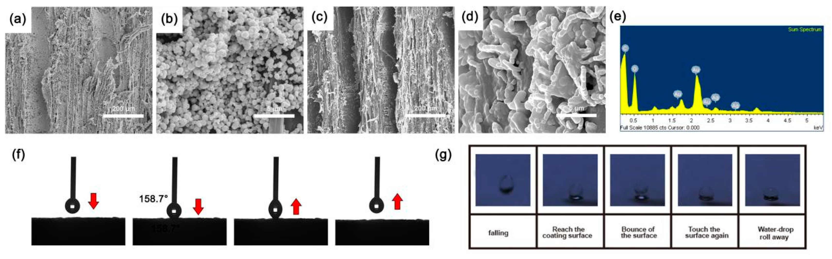 Nanomaterials 11 01885 g004