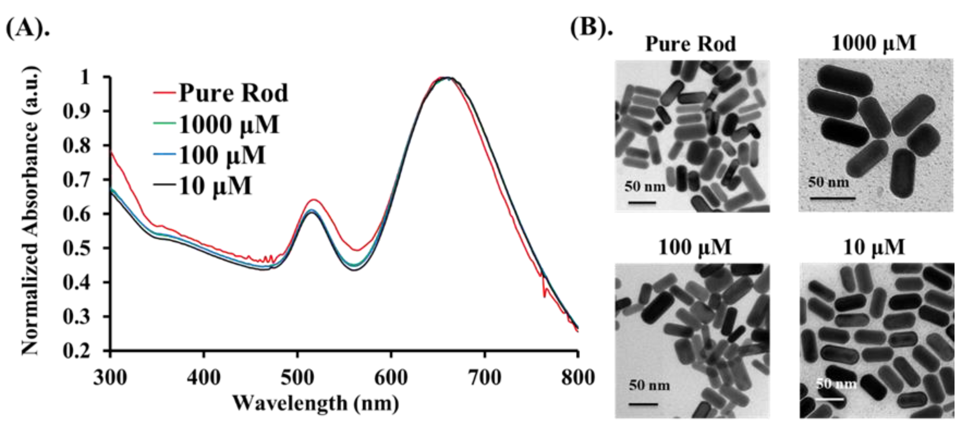 Nanomaterials 11 01887 g002 550