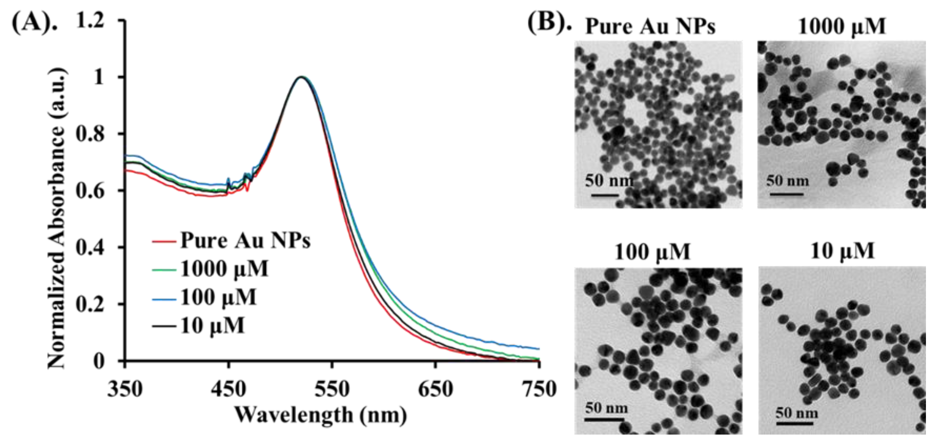 Nanomaterials 11 01887 g003 550
