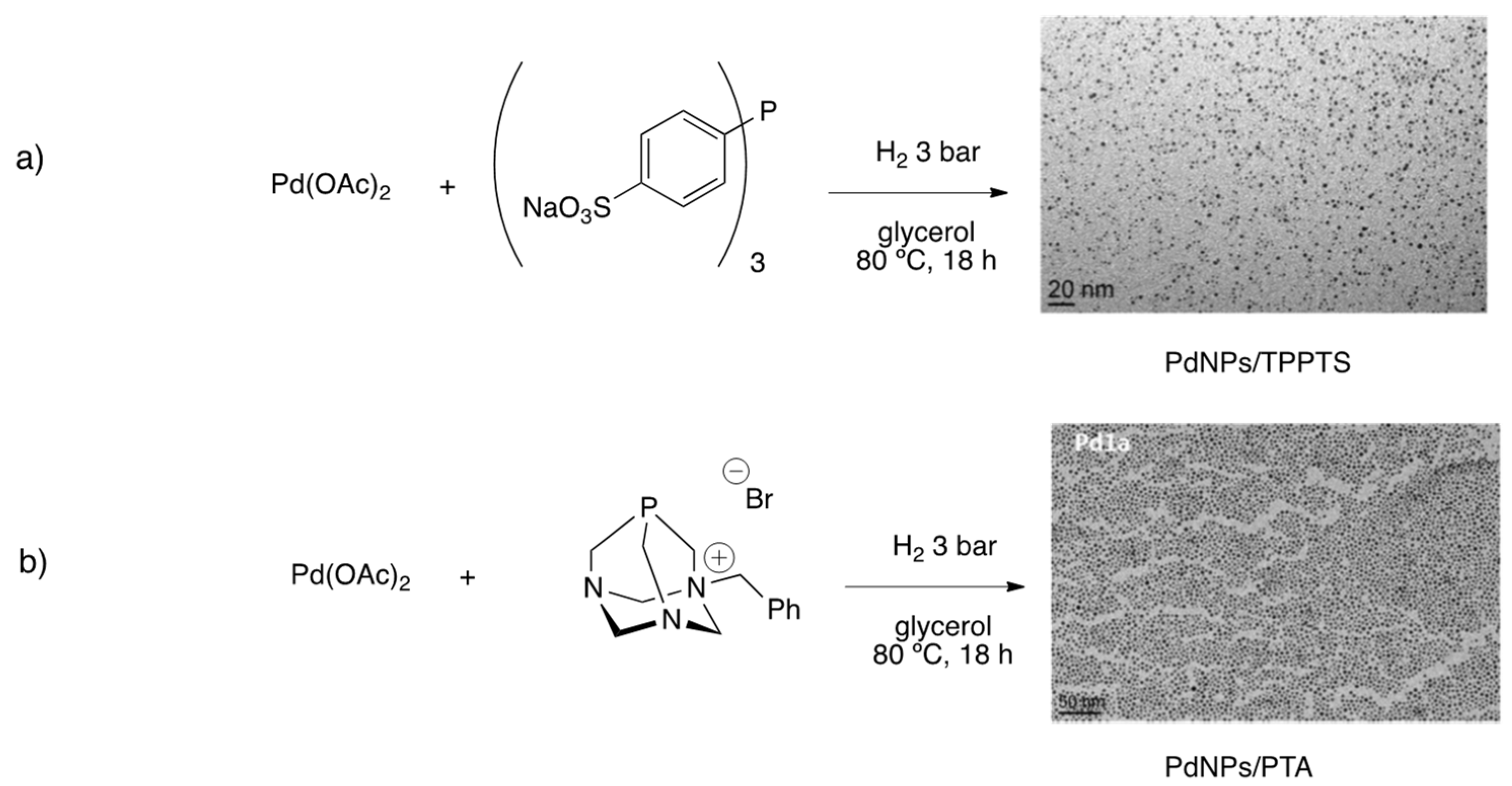 Nanomaterials 11 01891 g010 Nanomaterials 11 01891 g010