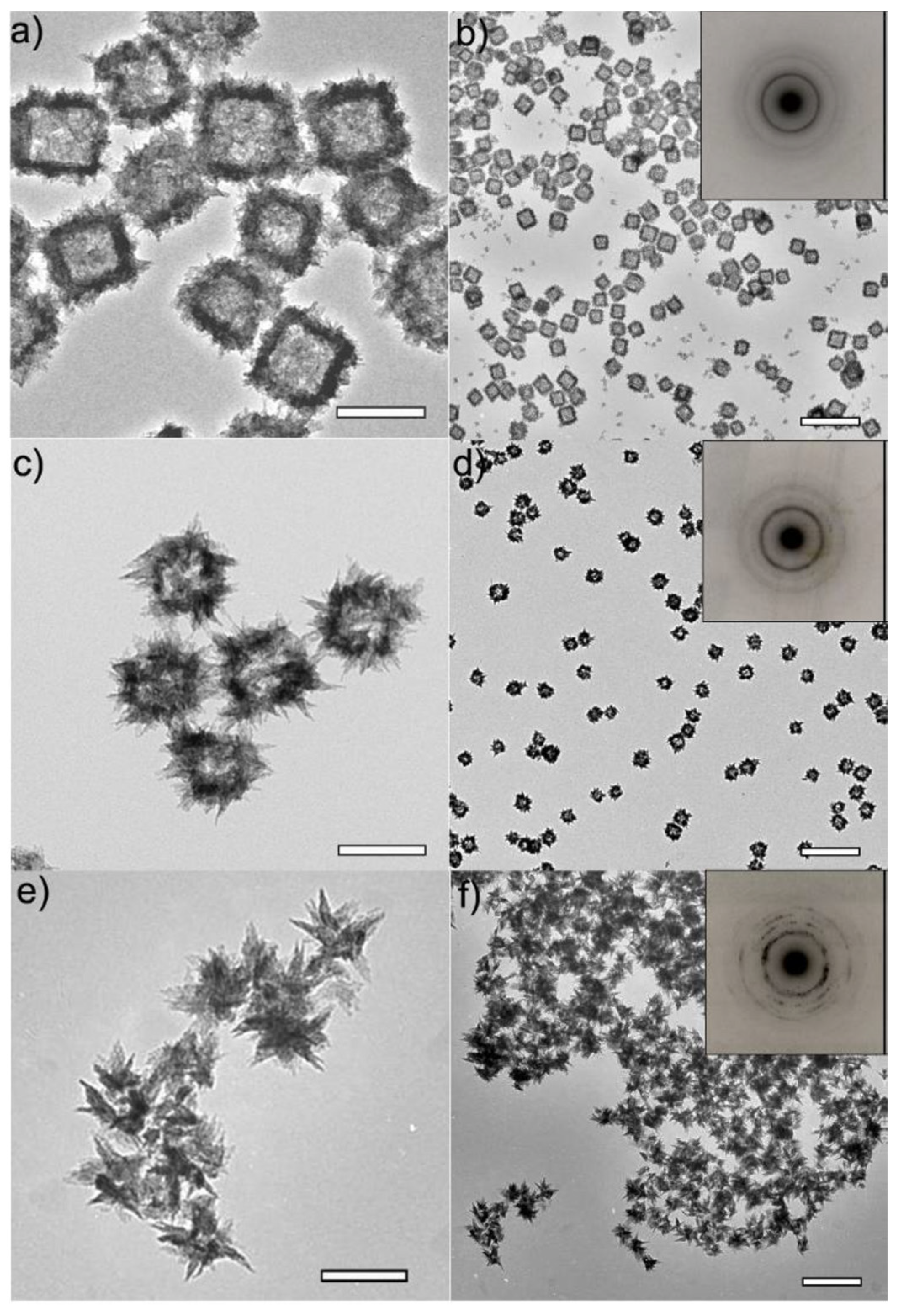 Nanomaterials 11 01891 g011 Nanomaterials 11 01891 g011
