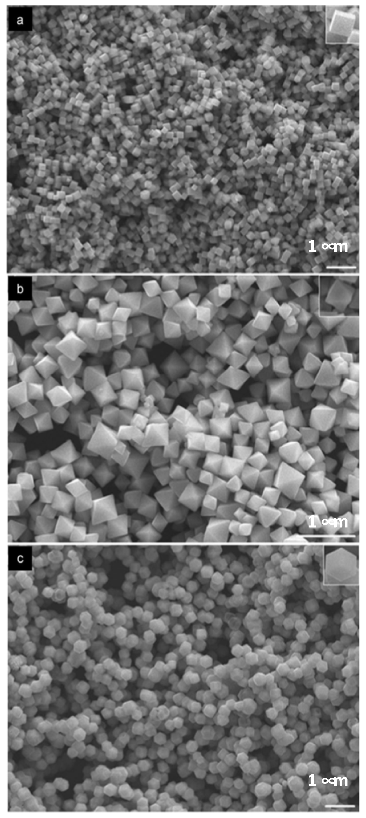 Nanomaterials 11 01891 g012 Nanomaterials 11 01891 g012