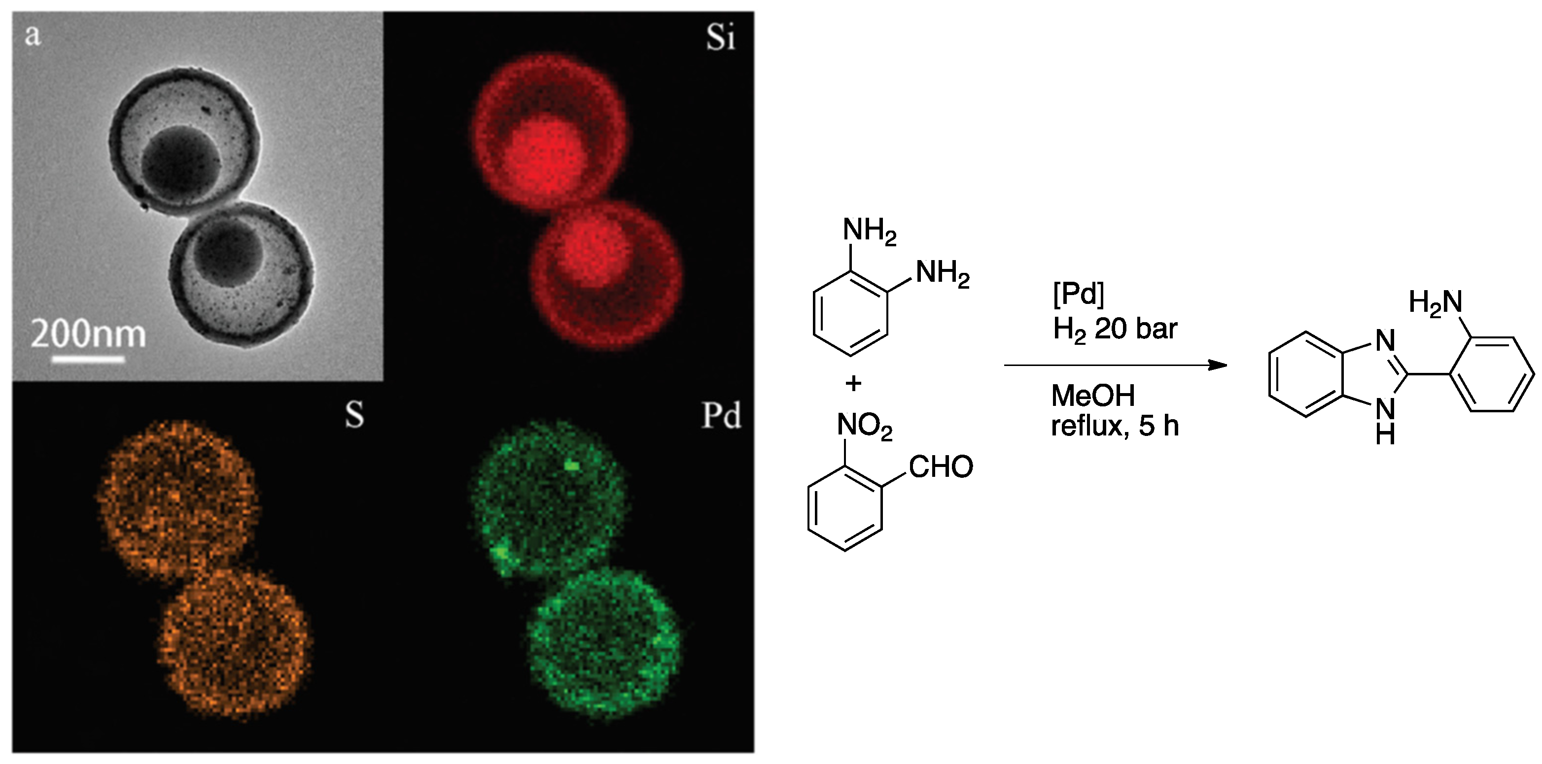 Nanomaterials 11 01891 sch019 Nanomaterials 11 01891 sch019