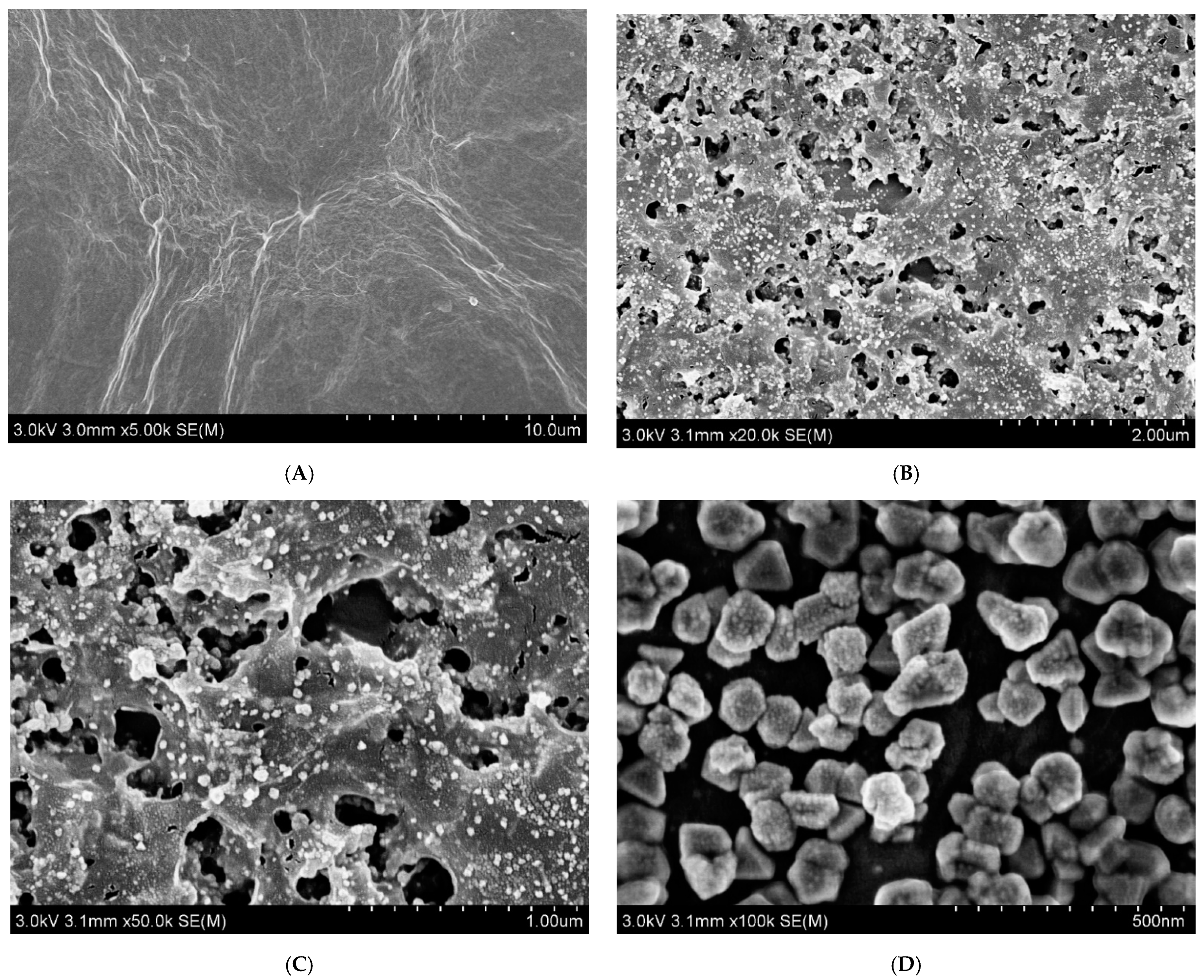 Nanomaterials 11 01892 g001