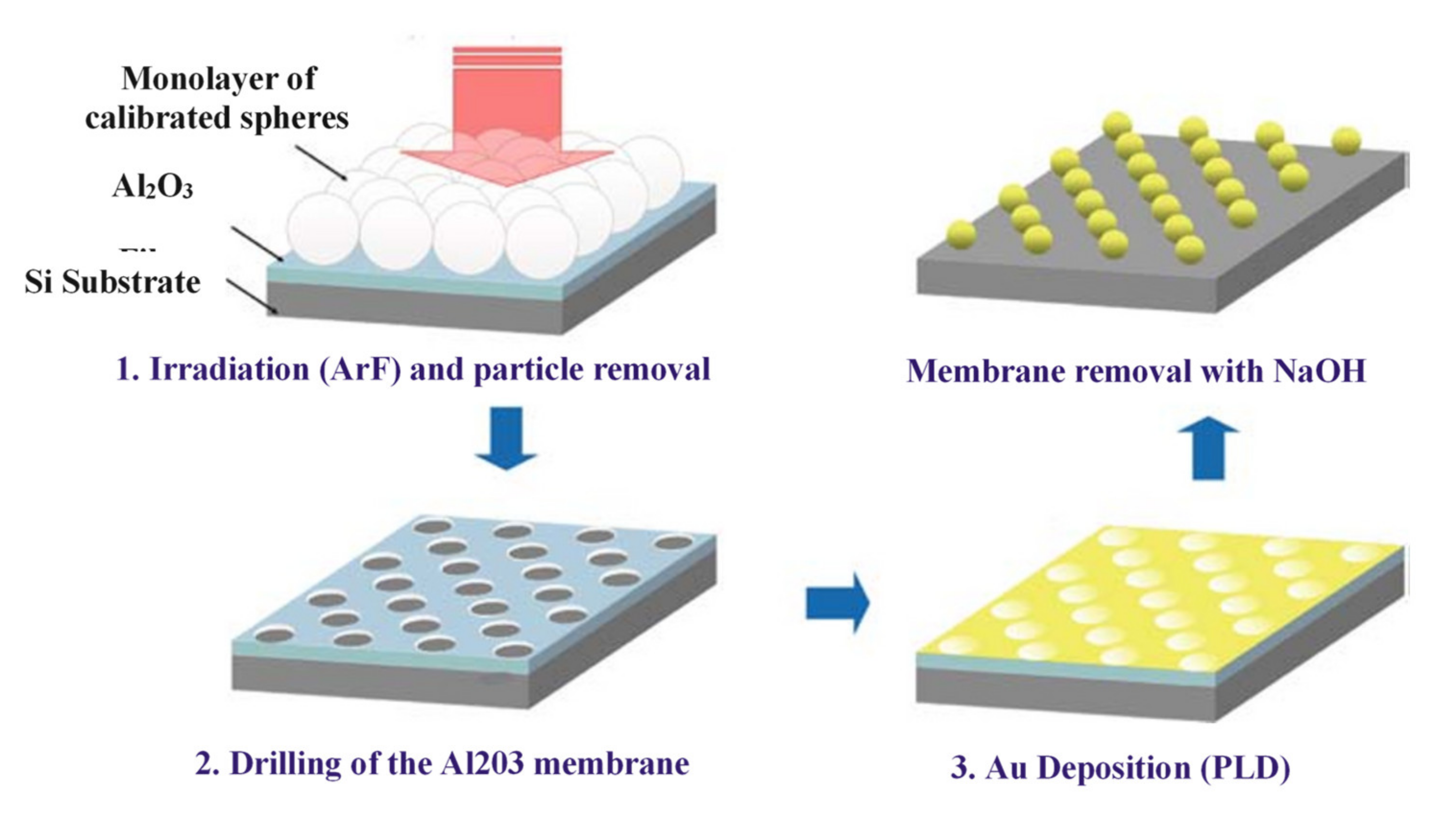 Nanomaterials 11 01895 g003