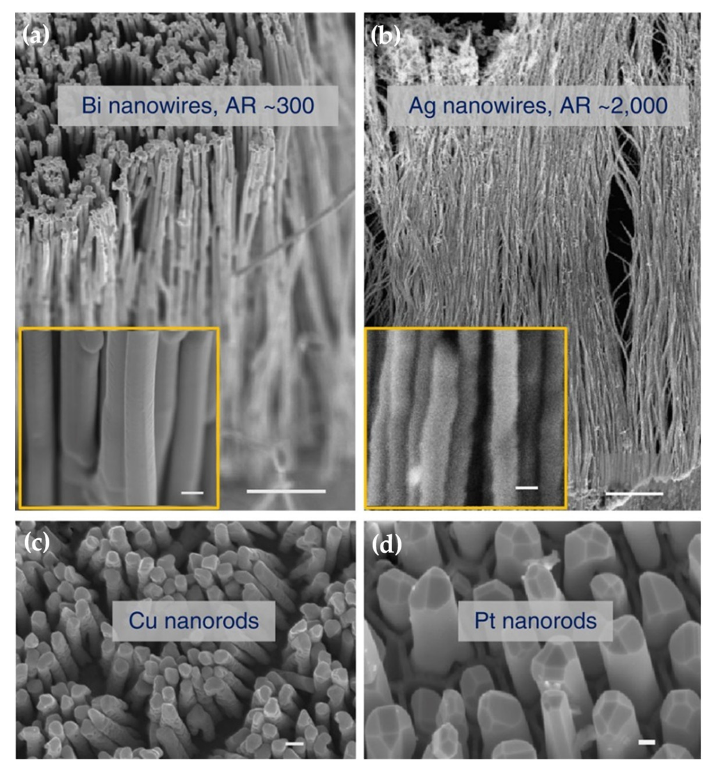 Nanomaterials 11 01895 g007