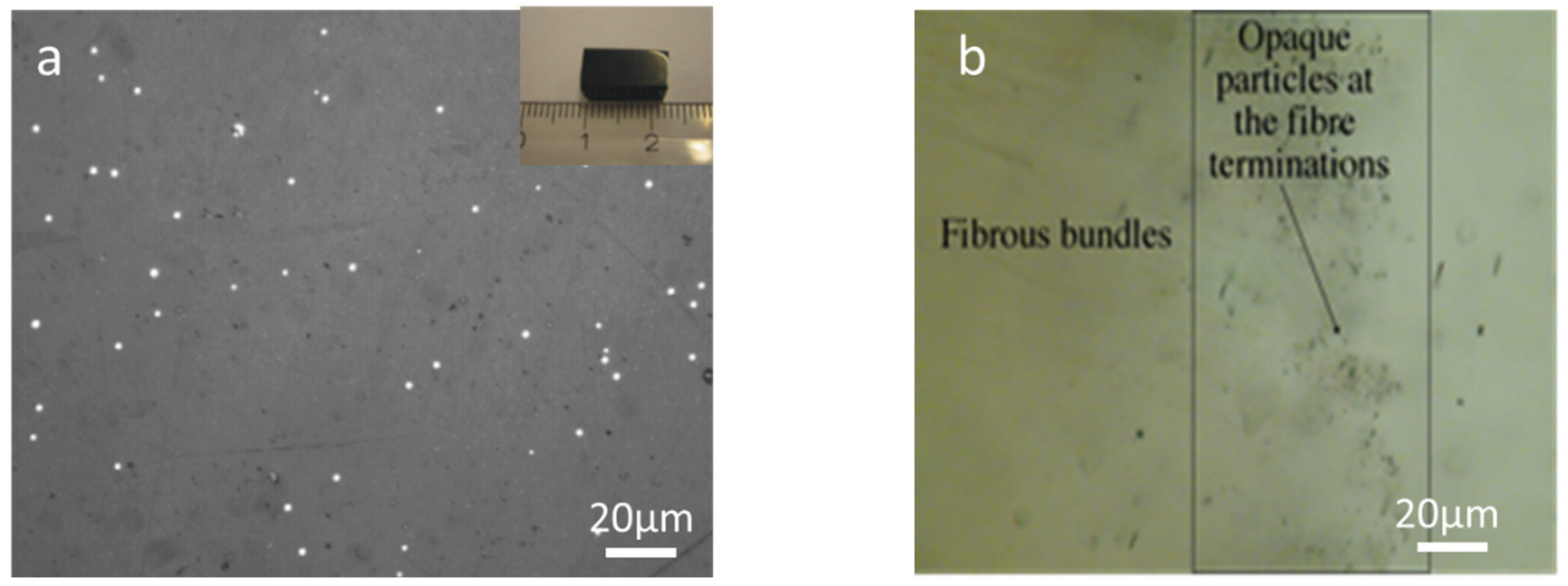 Nanomaterials 11 01896 g002 550