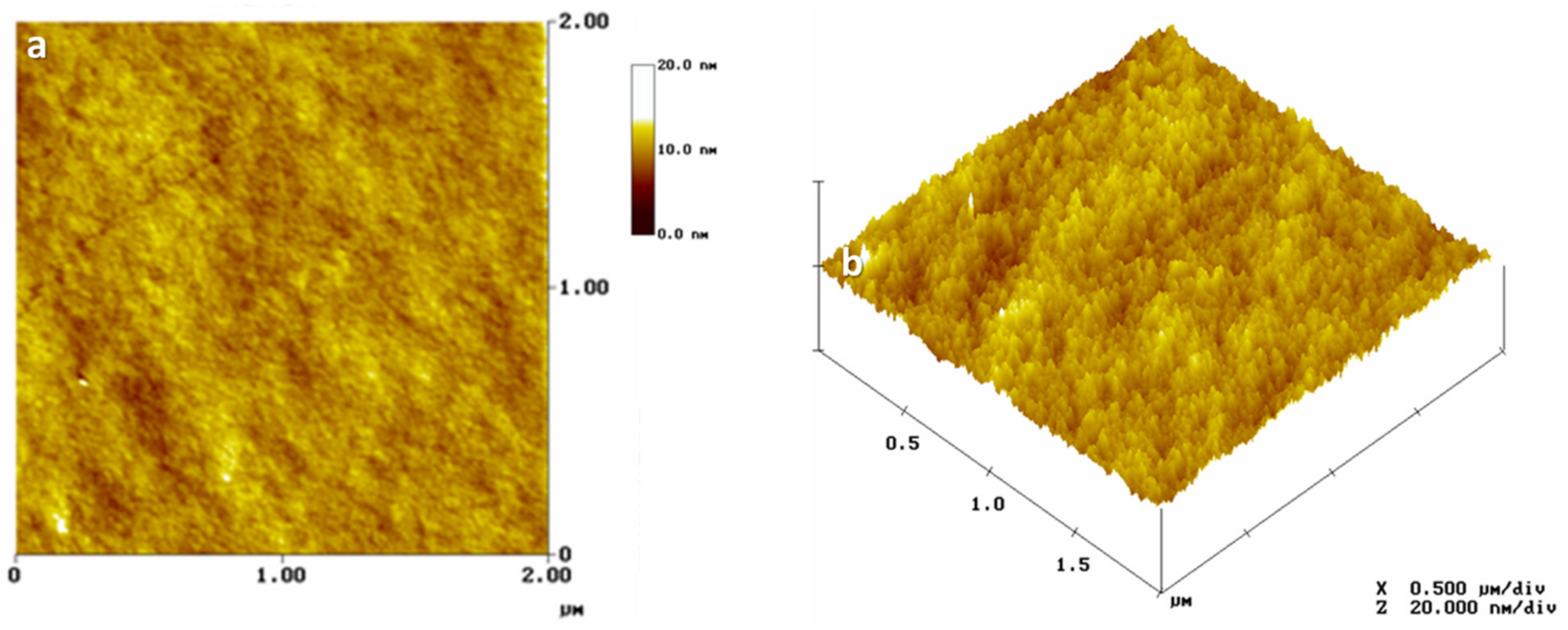 Nanomaterials 11 01896 g006 550