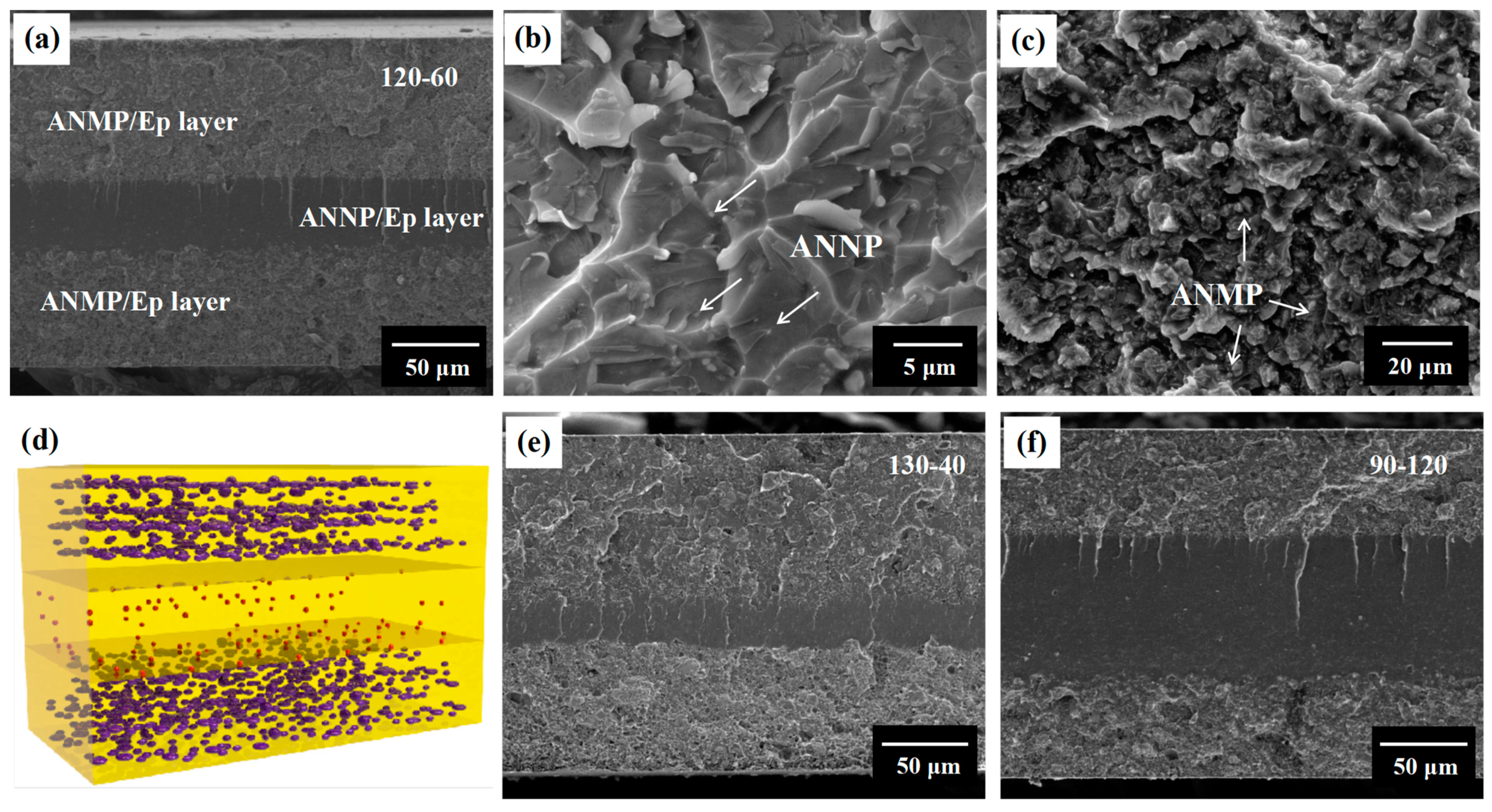 Nanomaterials 11 01898 g002 550