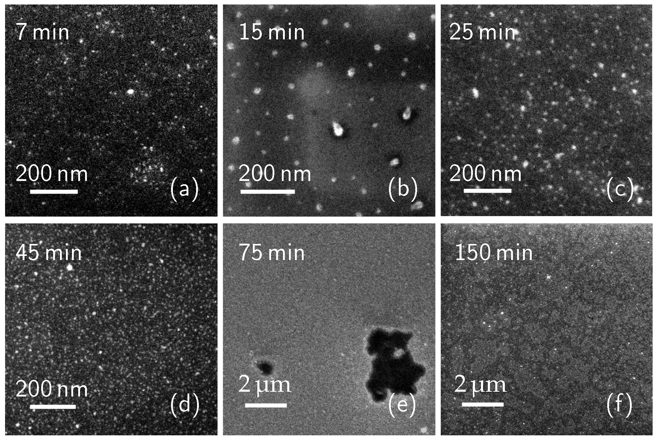 Nanomaterials 11 01899 g001 Nanomaterials 11 01899 g001