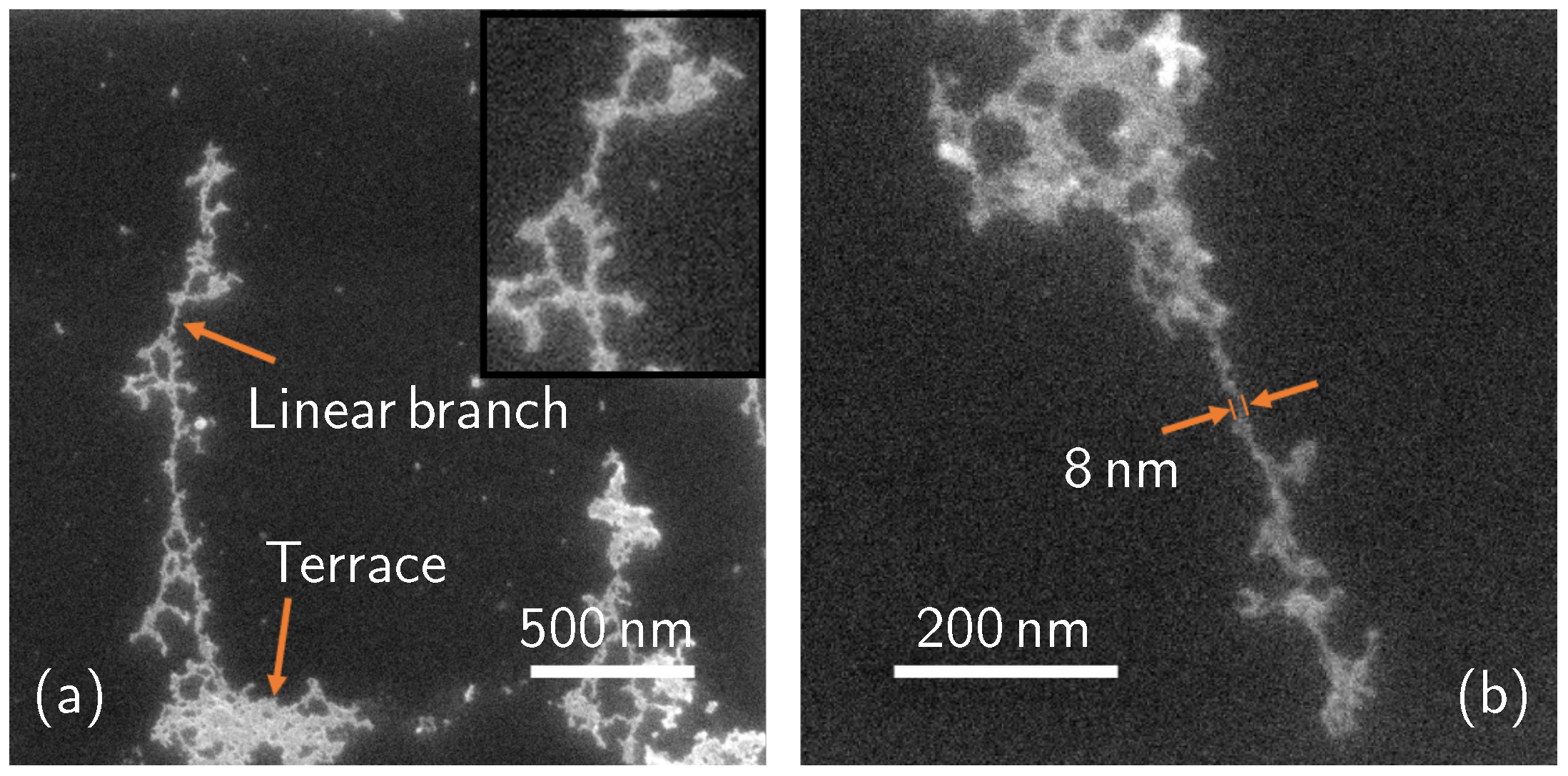 Nanomaterials 11 01899 g004 Nanomaterials 11 01899 g004