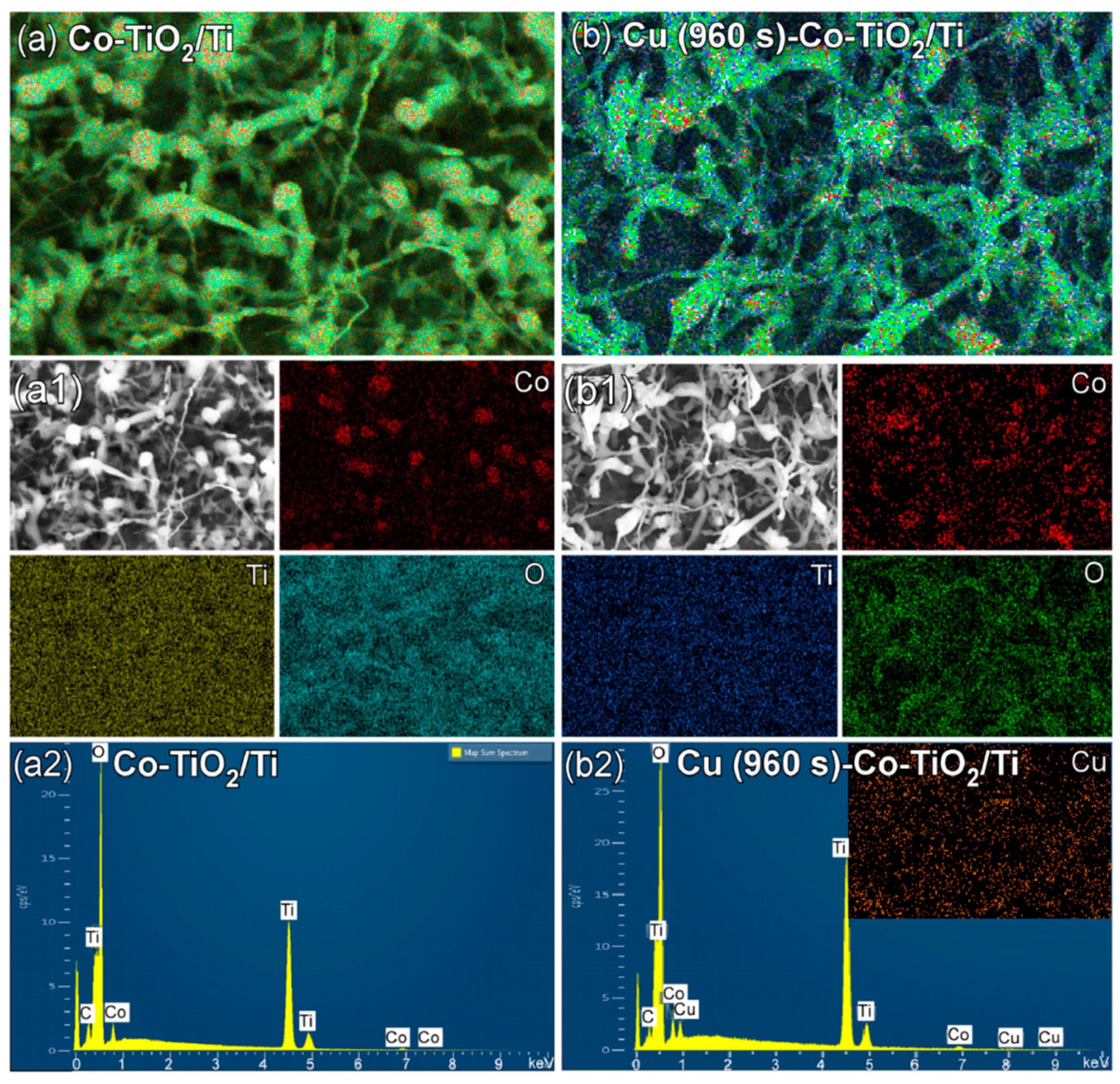 Nanomaterials 11 01904 g004