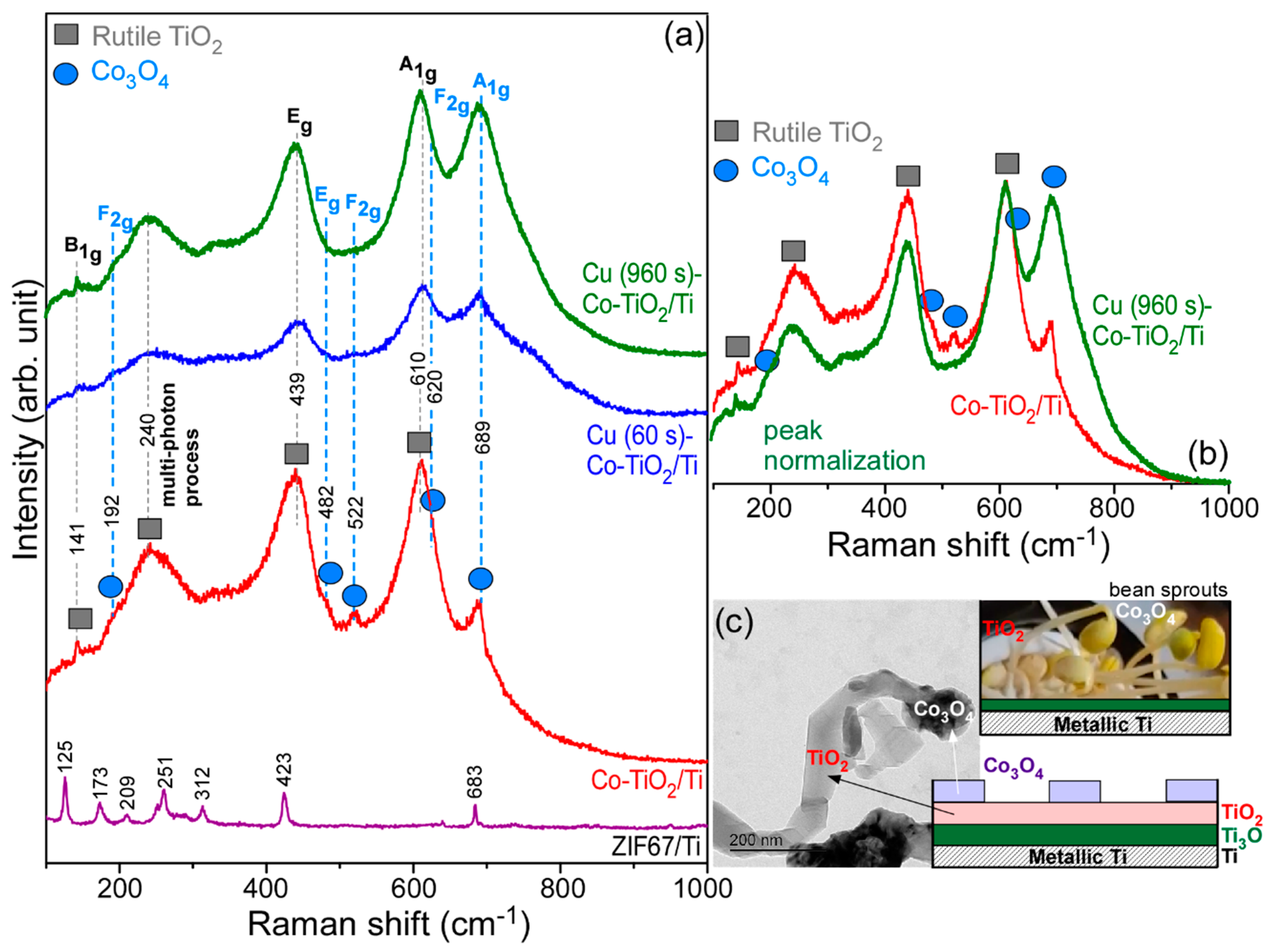 Nanomaterials 11 01904 g005