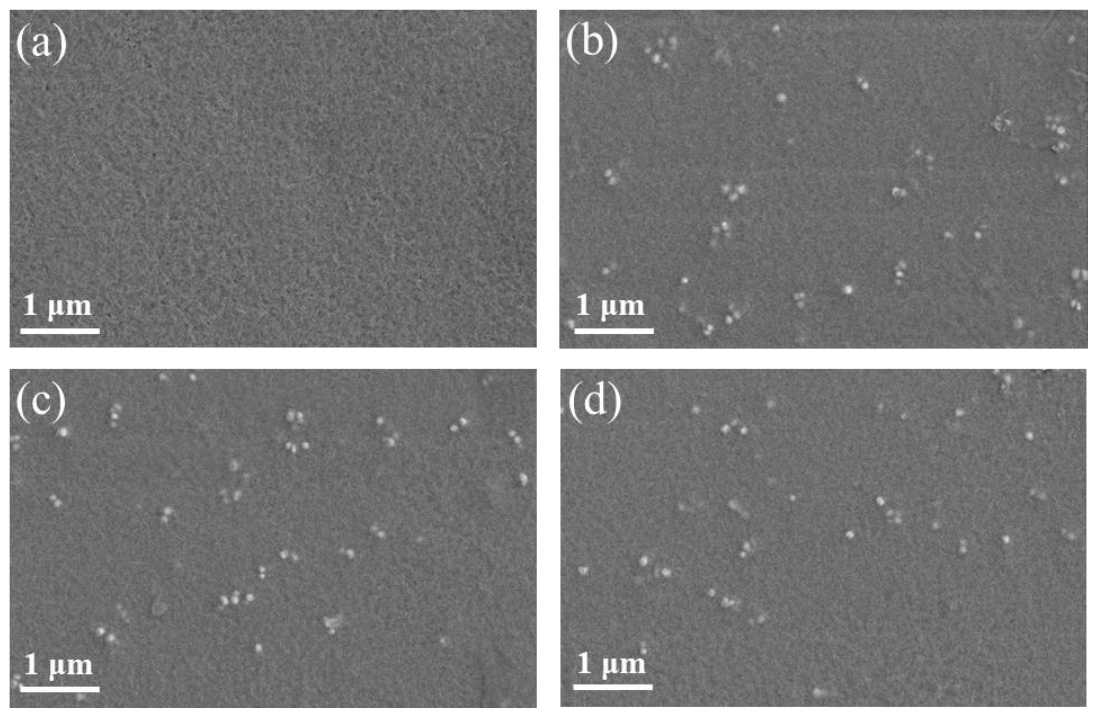 Nanomaterials 11 01908 g003 550