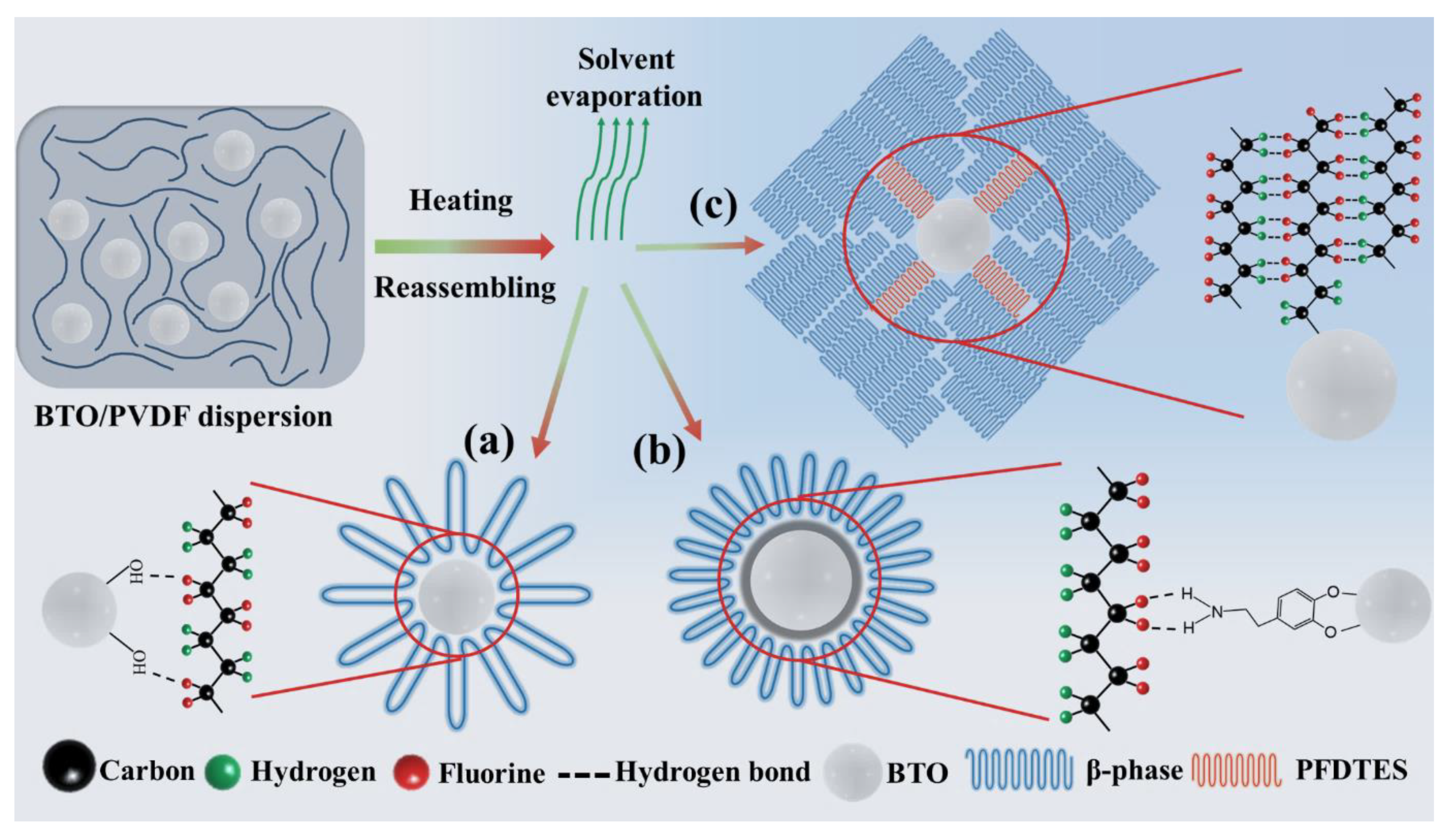Nanomaterials 11 01908 g006 550
