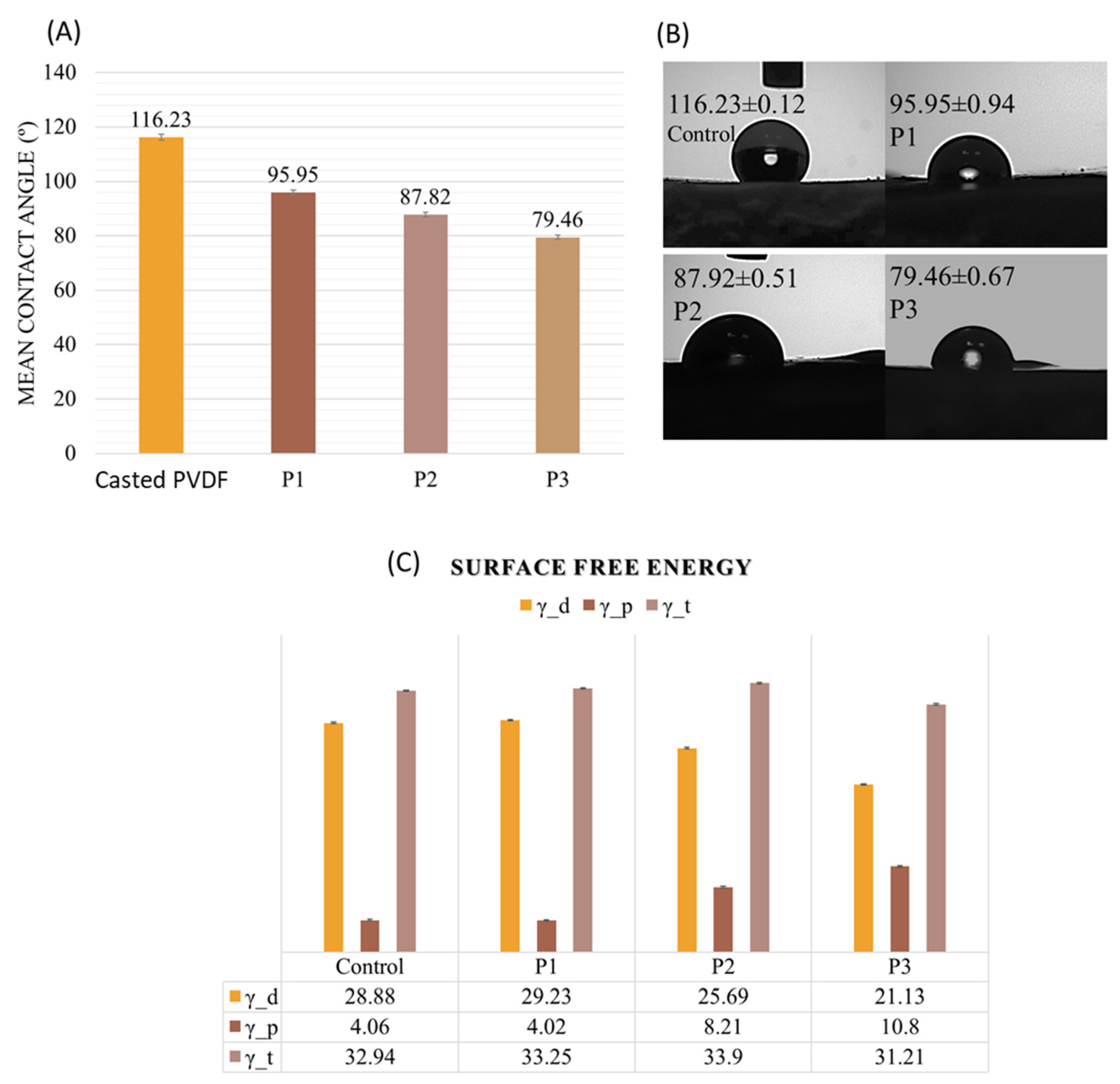 Nanomaterials 11 01913 g005