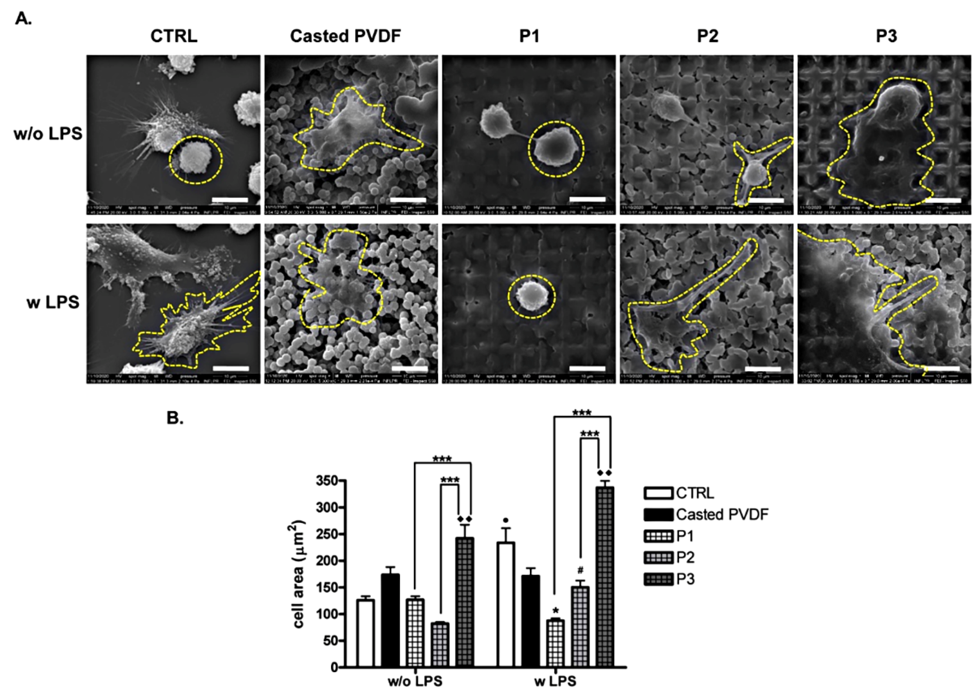Nanomaterials 11 01913 g007
