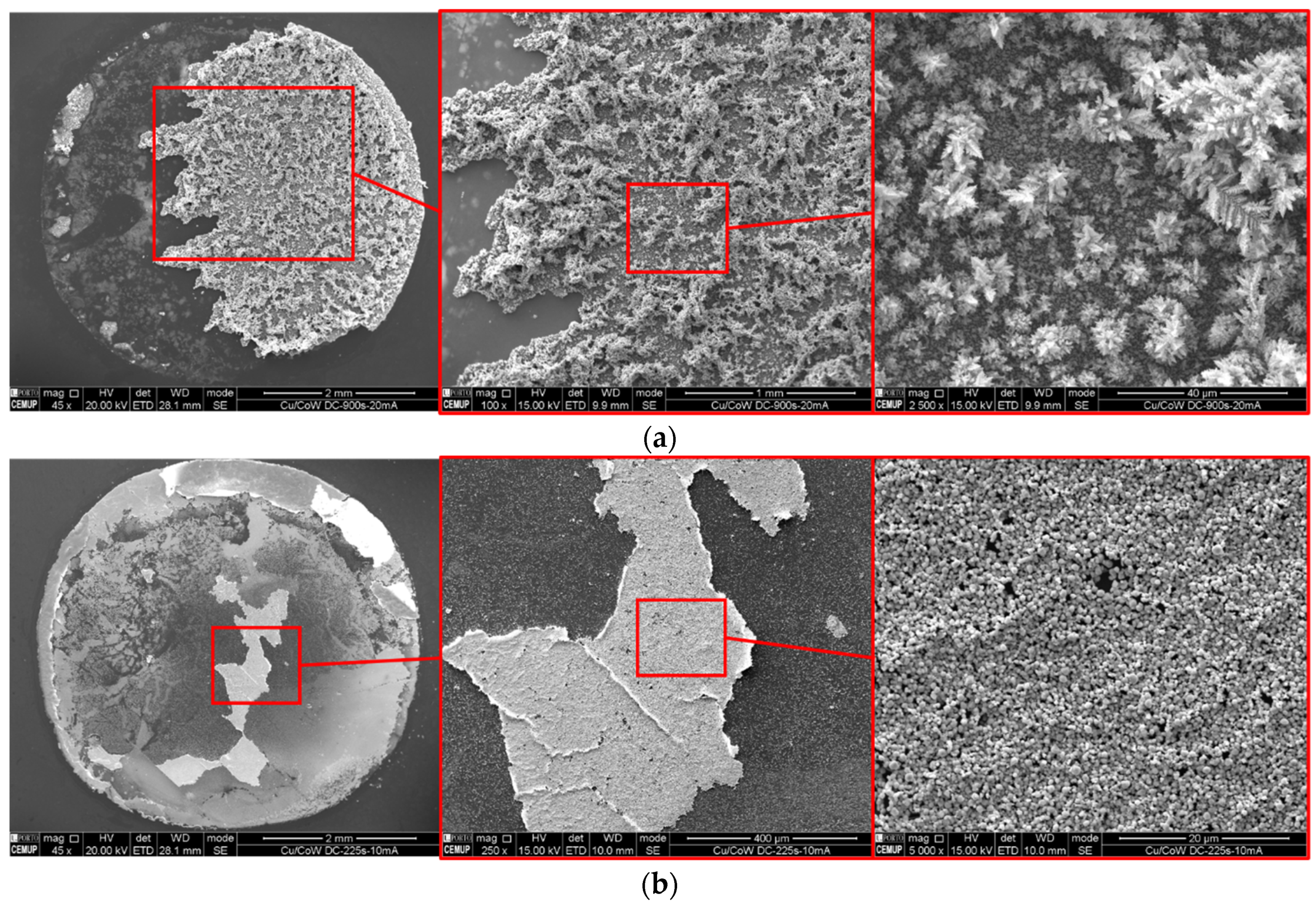 Nanomaterials 11 01914 g011 550