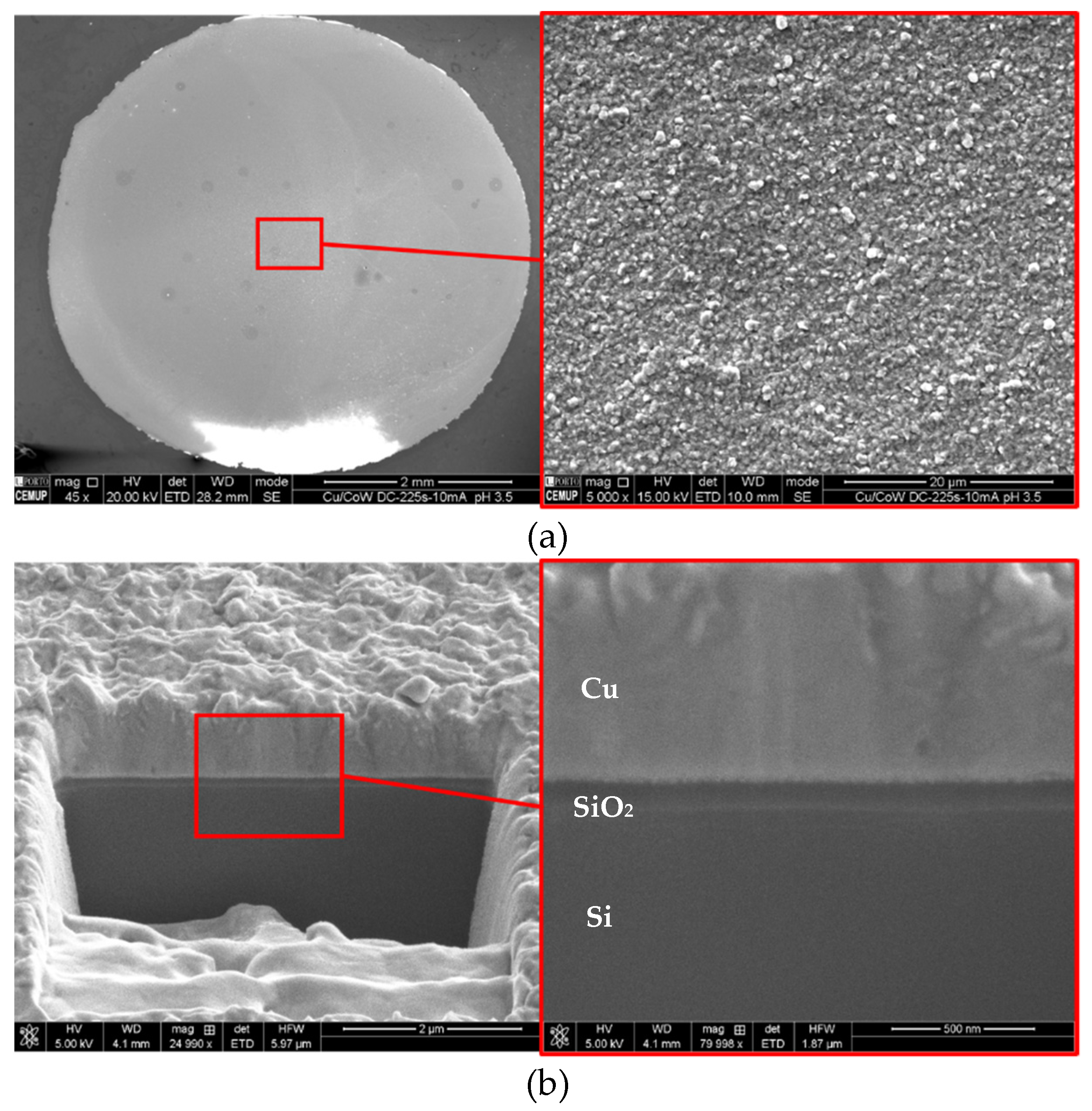 Nanomaterials 11 01914 g012 550