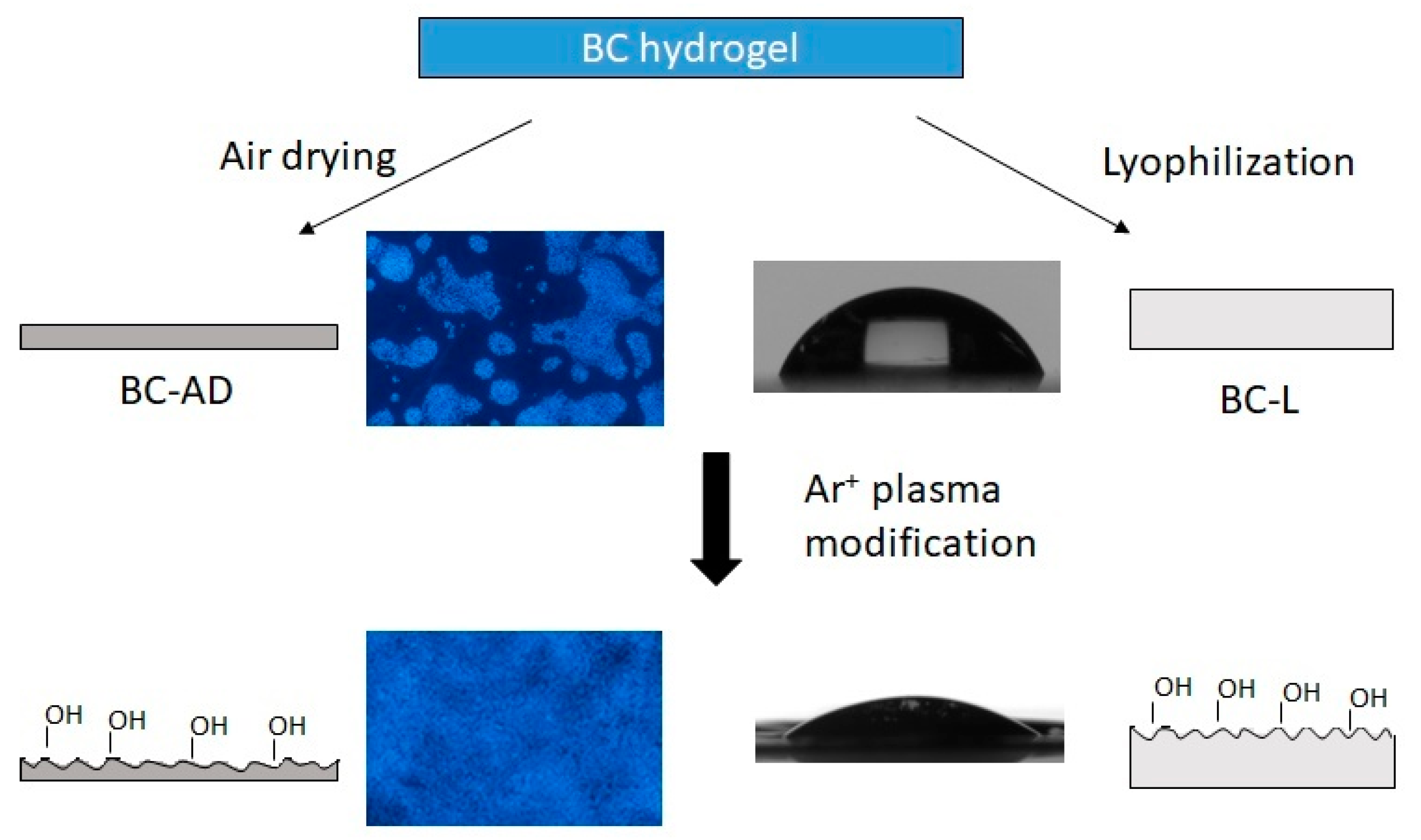 Nanomaterials 11 01916 g001