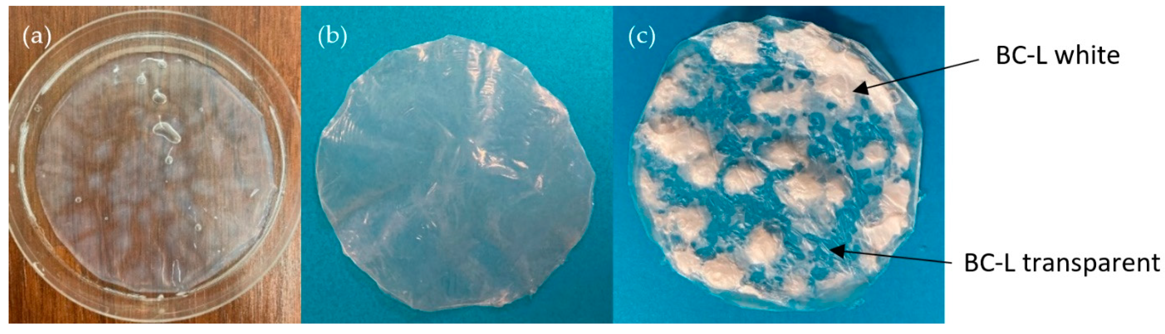 Nanomaterials 11 01916 g002