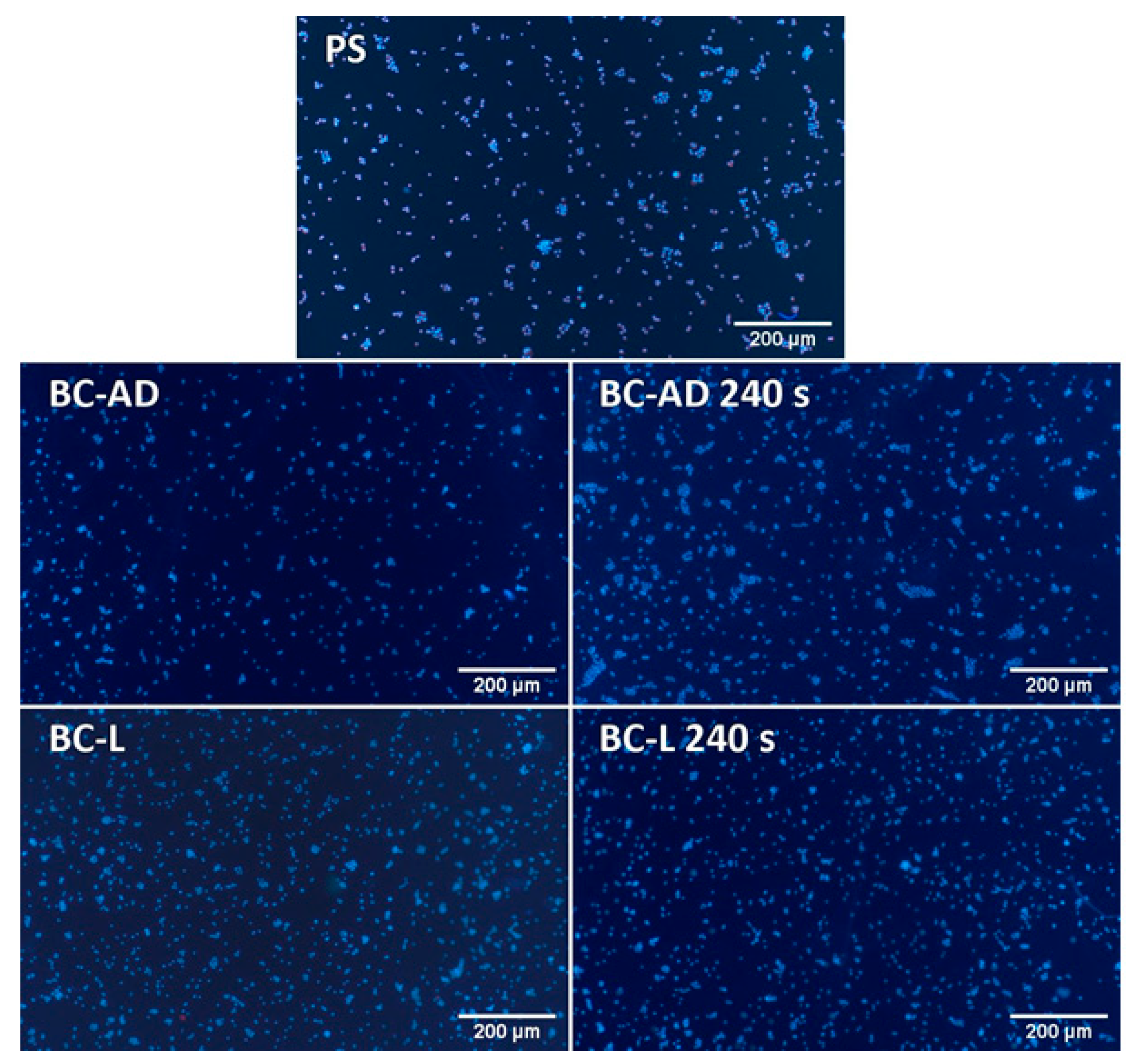 Nanomaterials 11 01916 g008