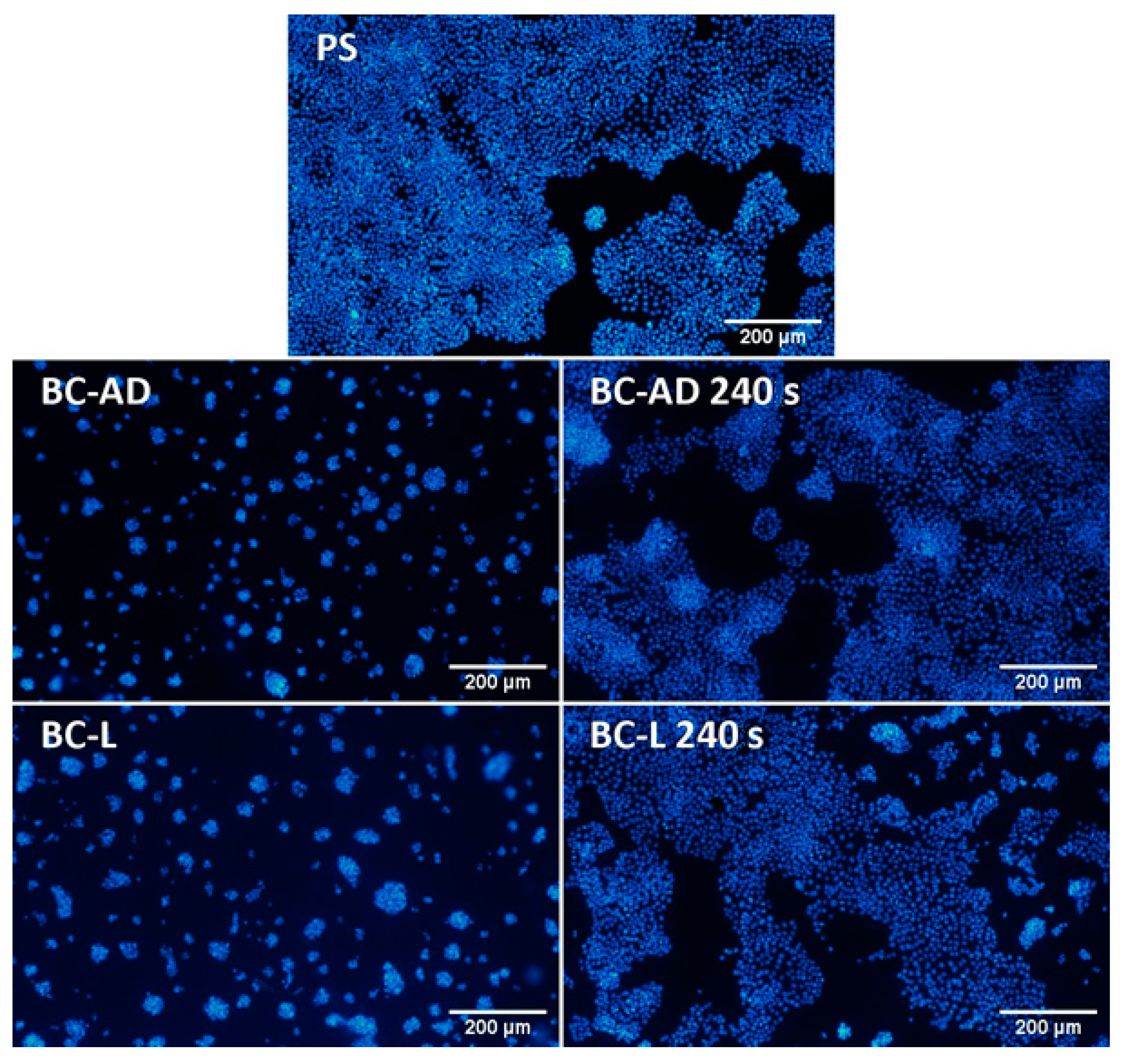 Nanomaterials 11 01916 g009