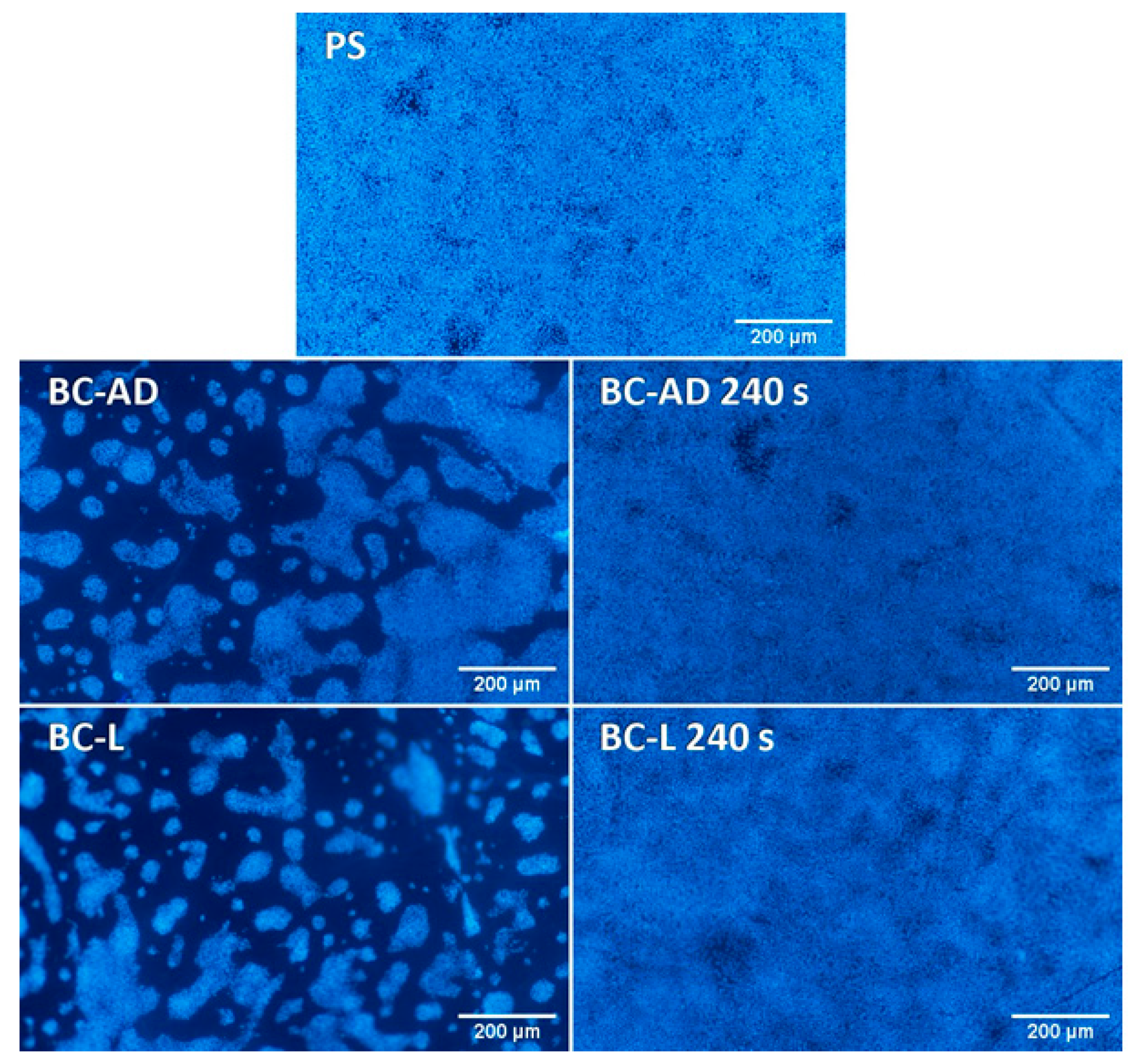 Nanomaterials 11 01916 g010