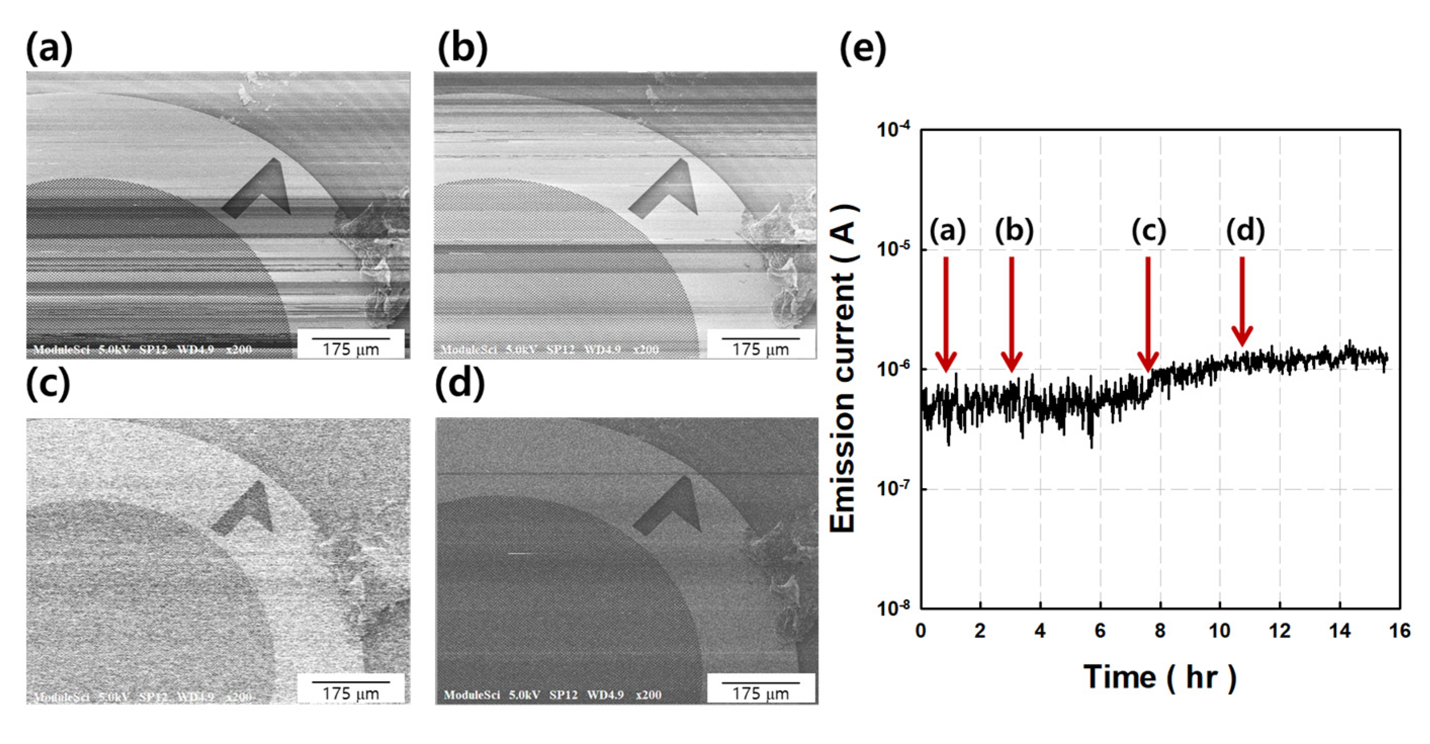 Nanomaterials 11 01918 g005