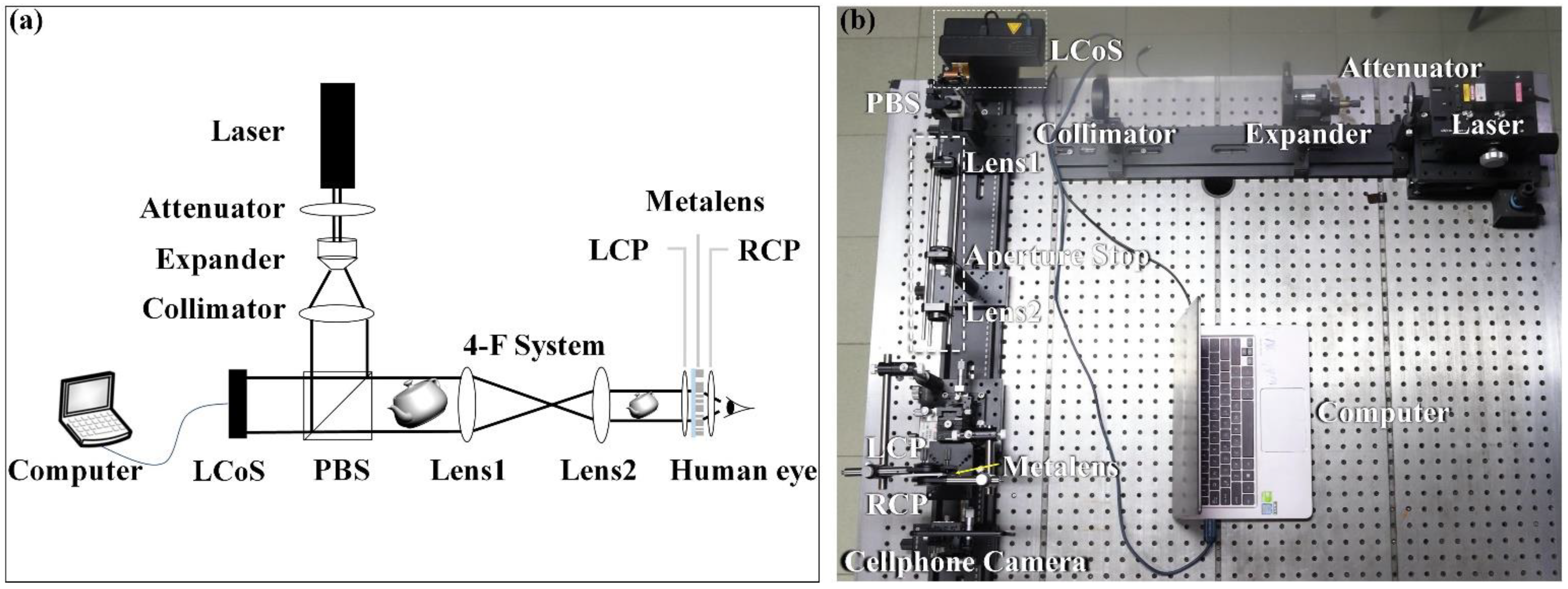 Nanomaterials 11 01920 g006 550
