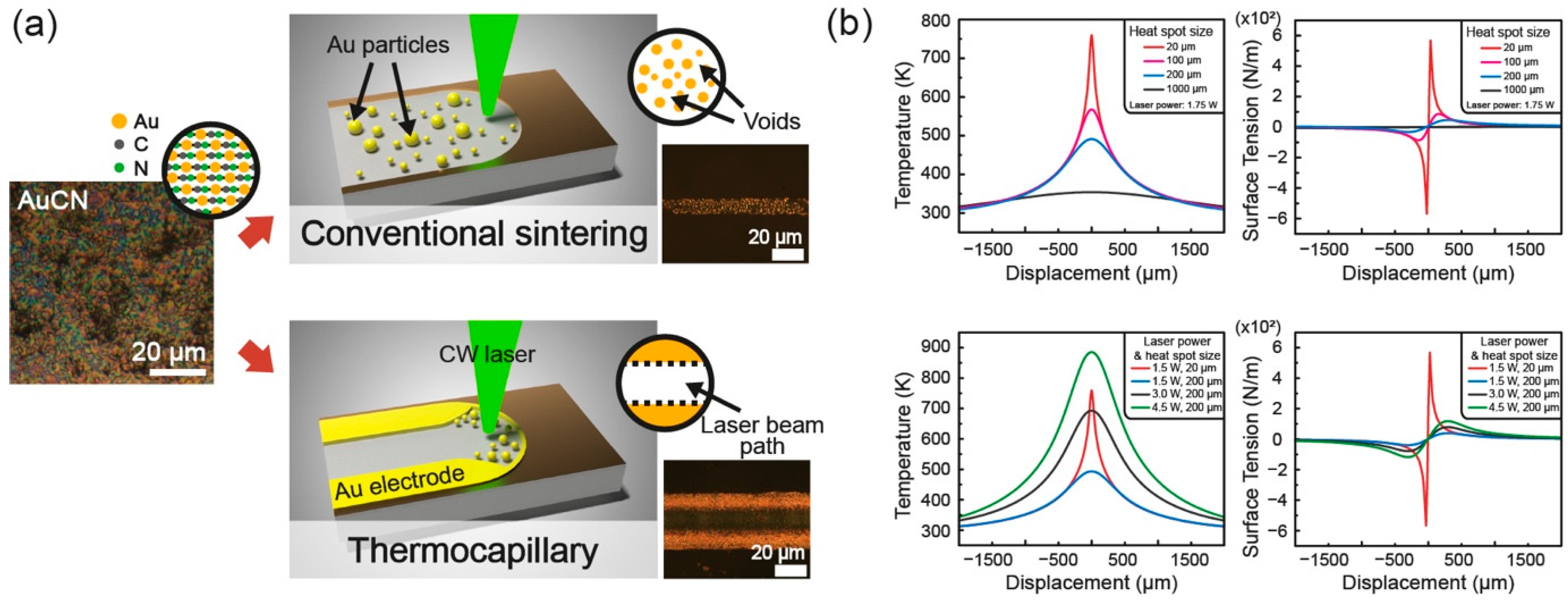 Nanomaterials 11 01921 g002 550