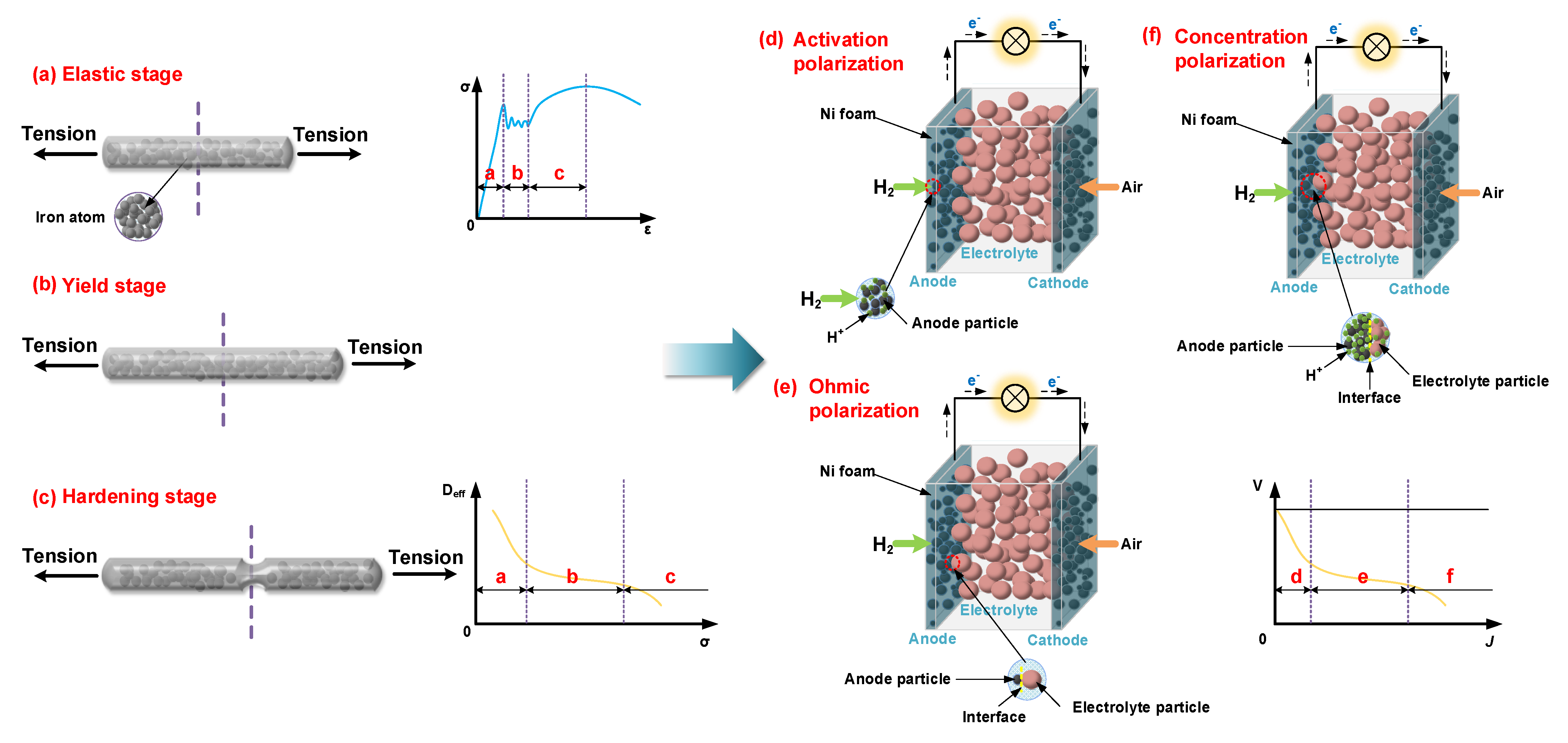 Nanomaterials 11 01923 g001 550