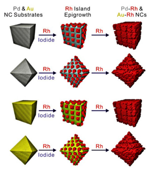 Frontiers | Uncovering the Functional Link Between SHANK3