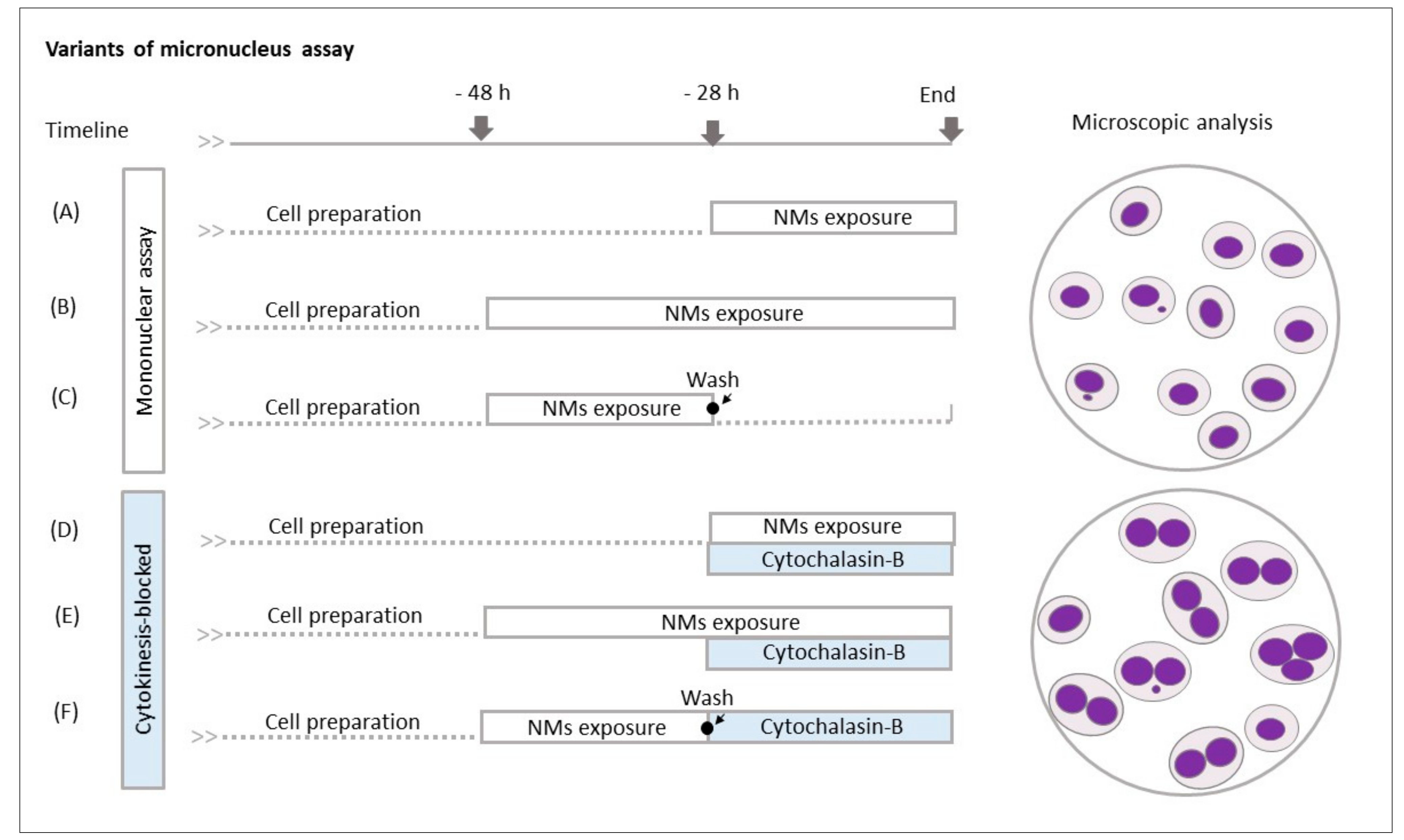Nanomaterials 11 01929 g001 550