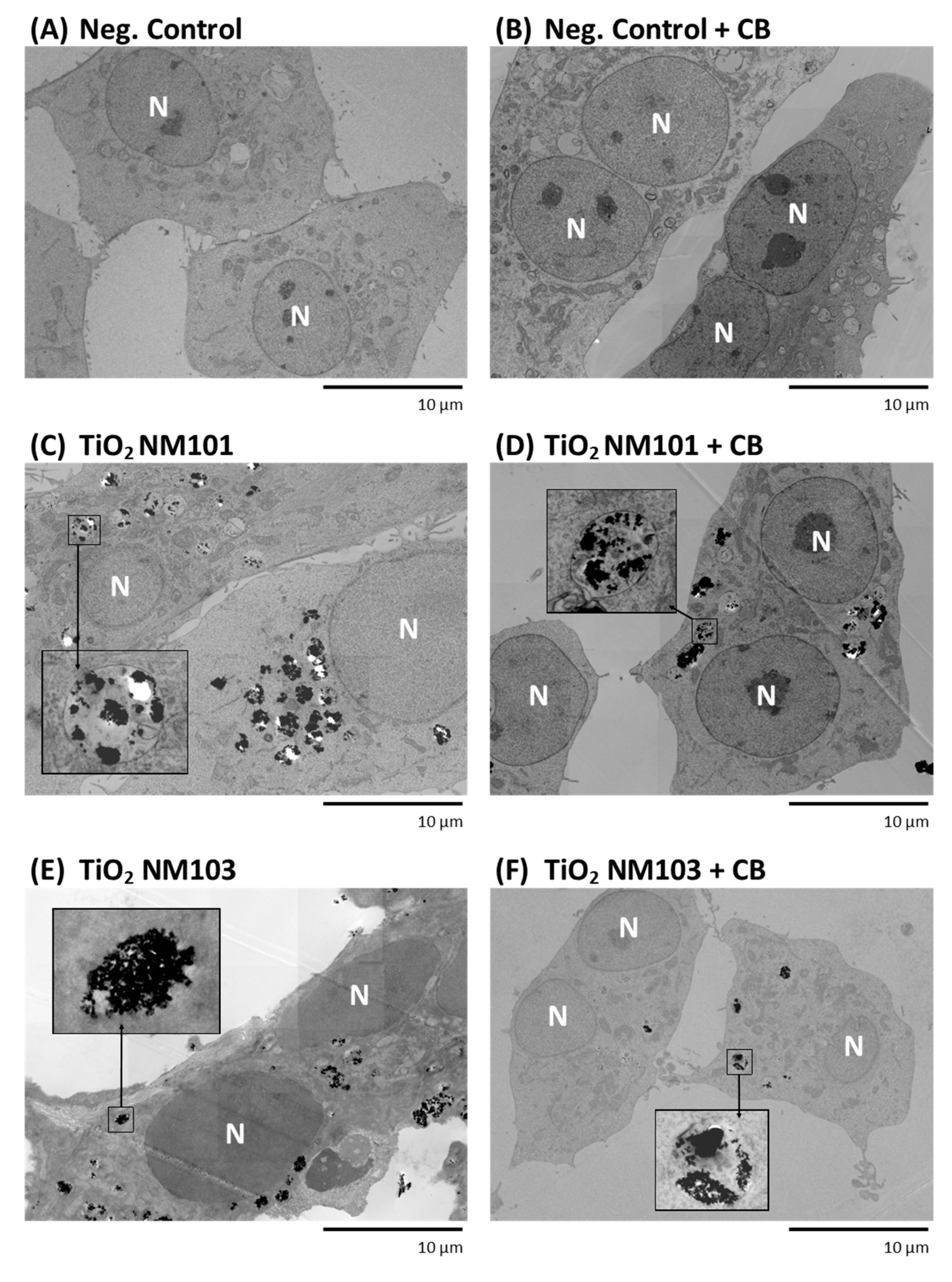 Nanomaterials 11 01929 g008a 550