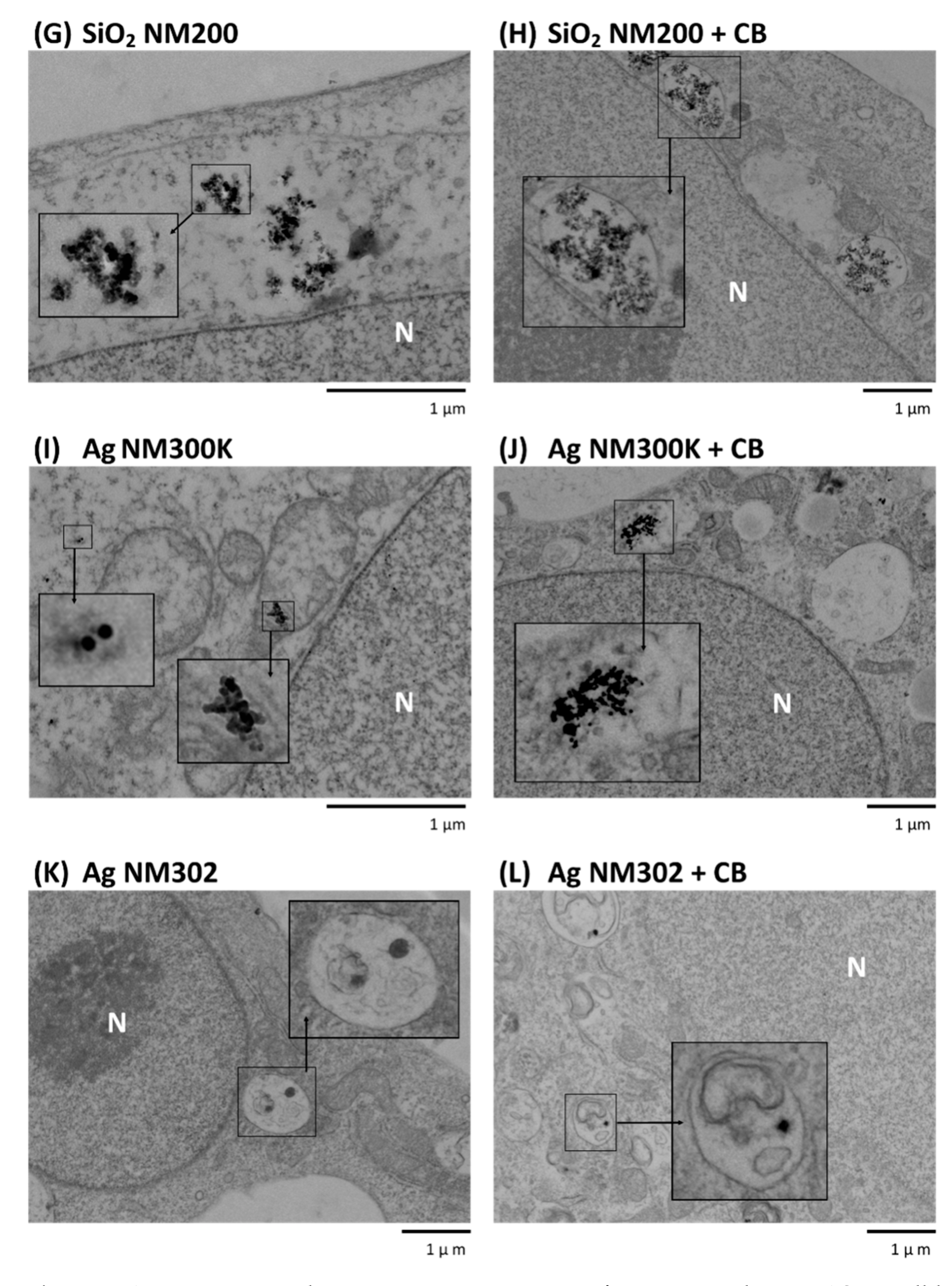 Nanomaterials 11 01929 g008b 550